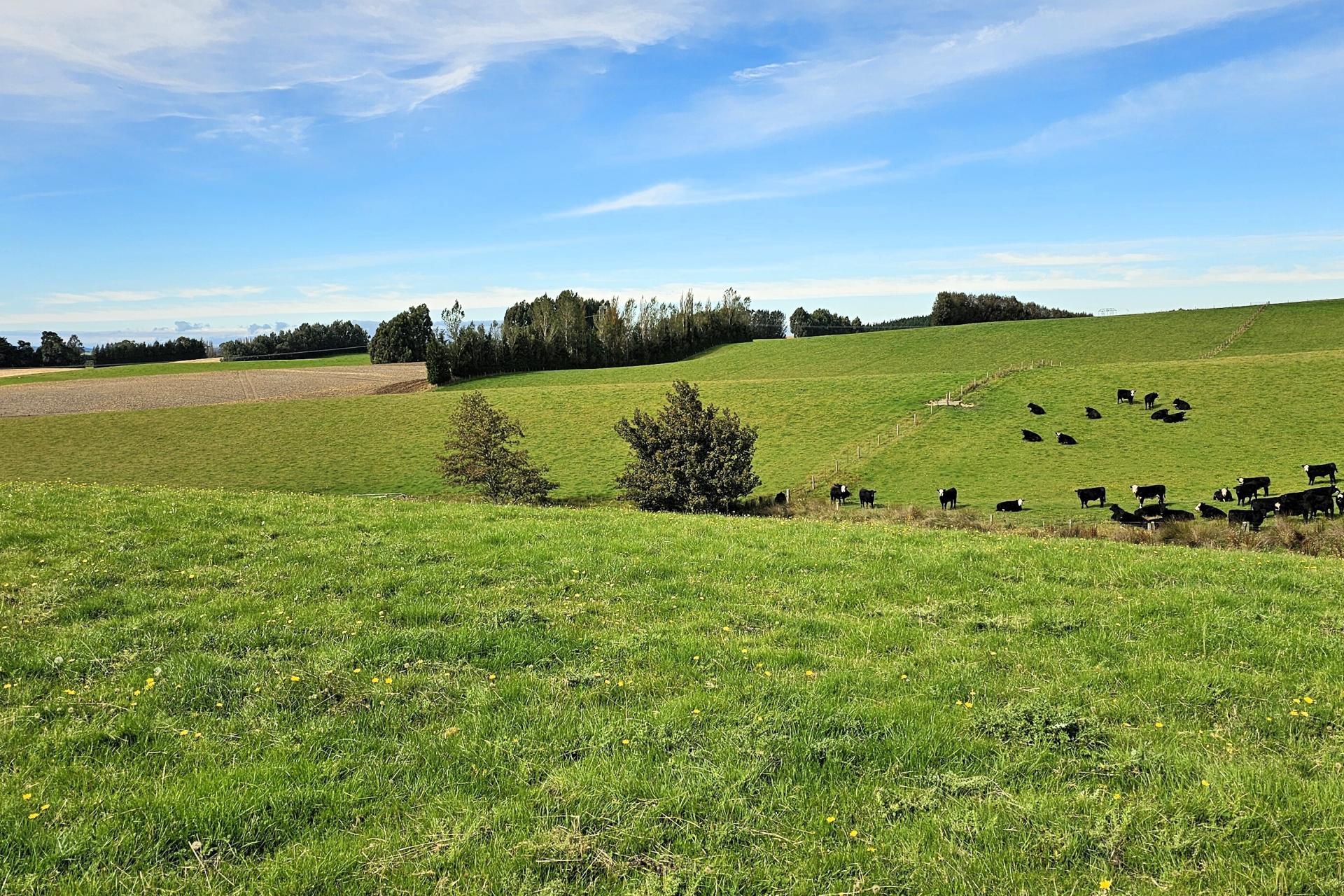 104 Bushy Park Road, Waikaka