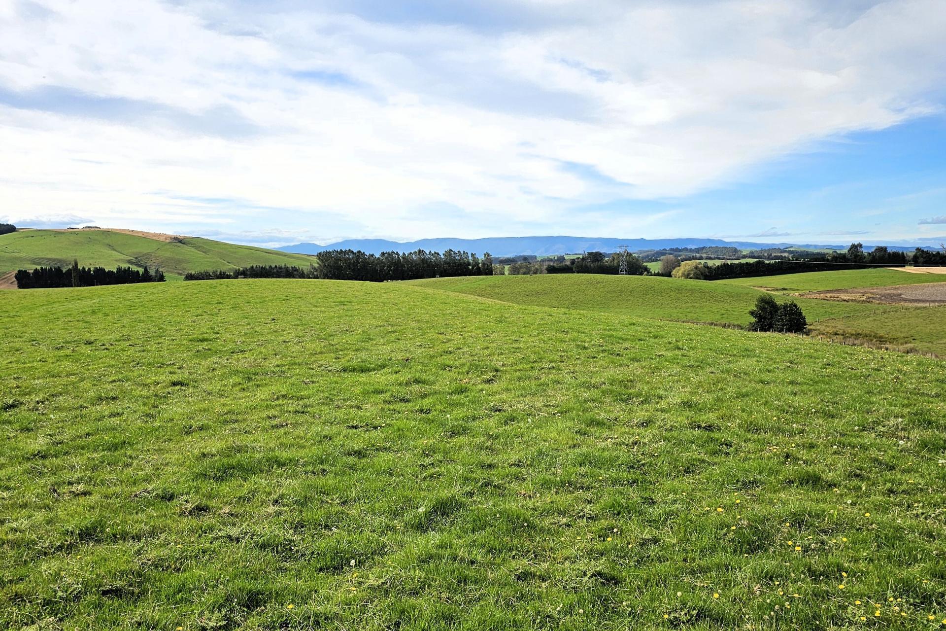 104 Bushy Park Road, Waikaka