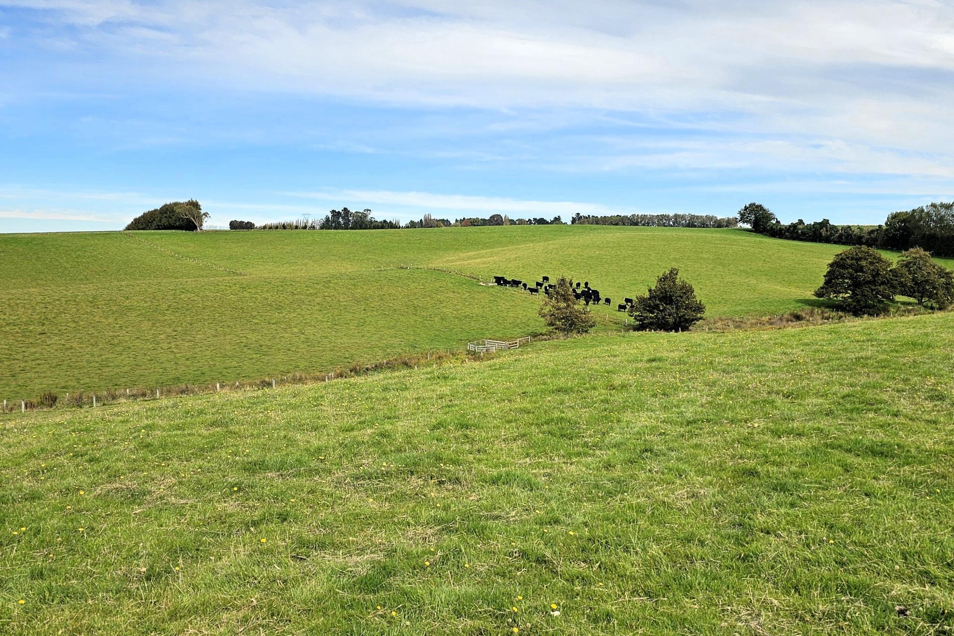 104 Bushy Park Road, Waikaka