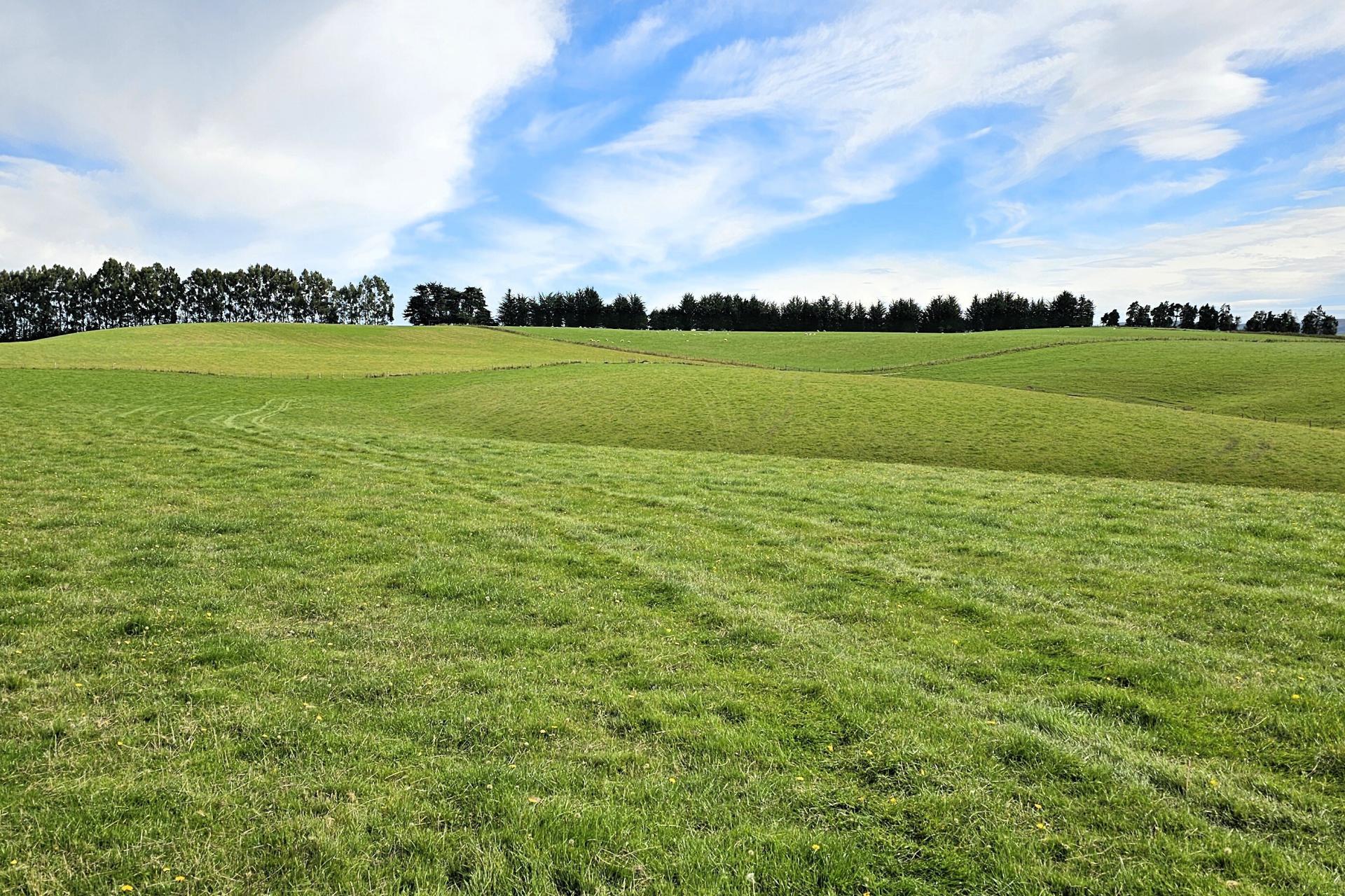 104 Bushy Park Road, Waikaka
