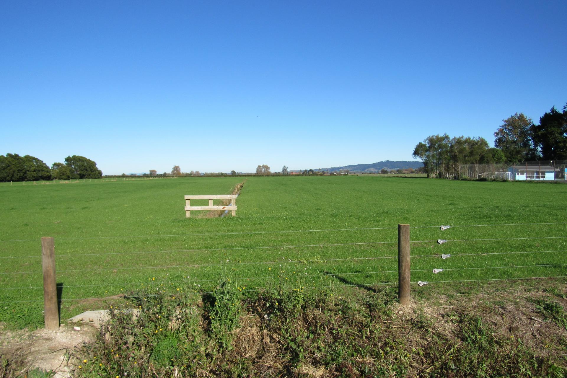 No 1 Road, Springdale