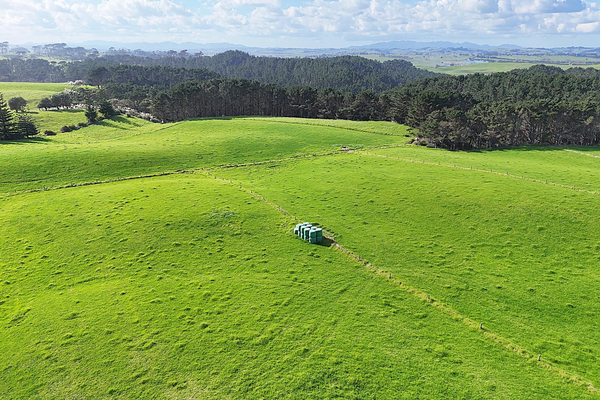 1000 Redhill Road, Te Kopuru