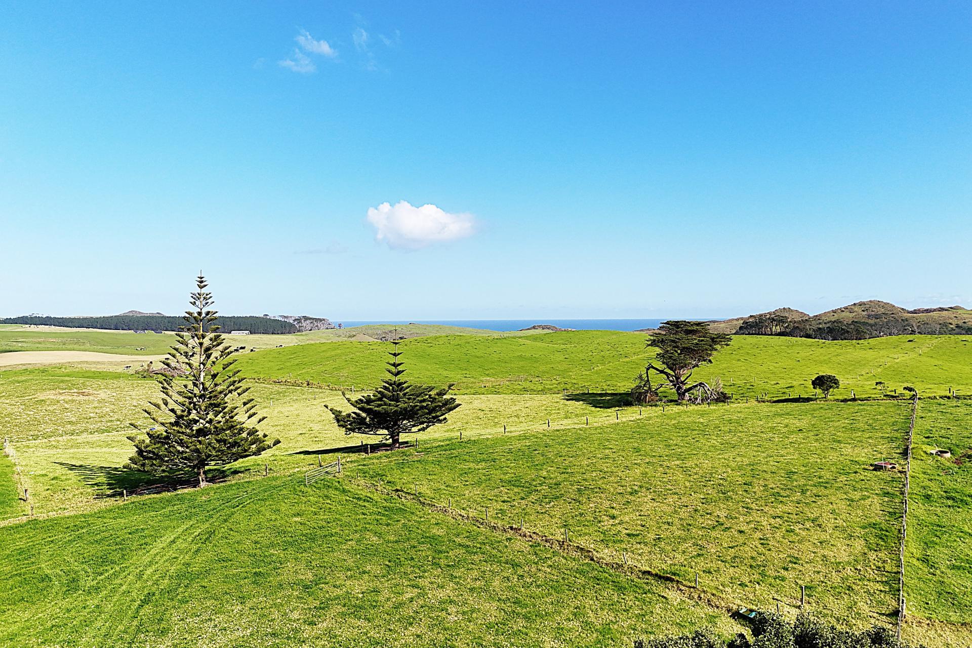 1000 Redhill Road, Te Kopuru