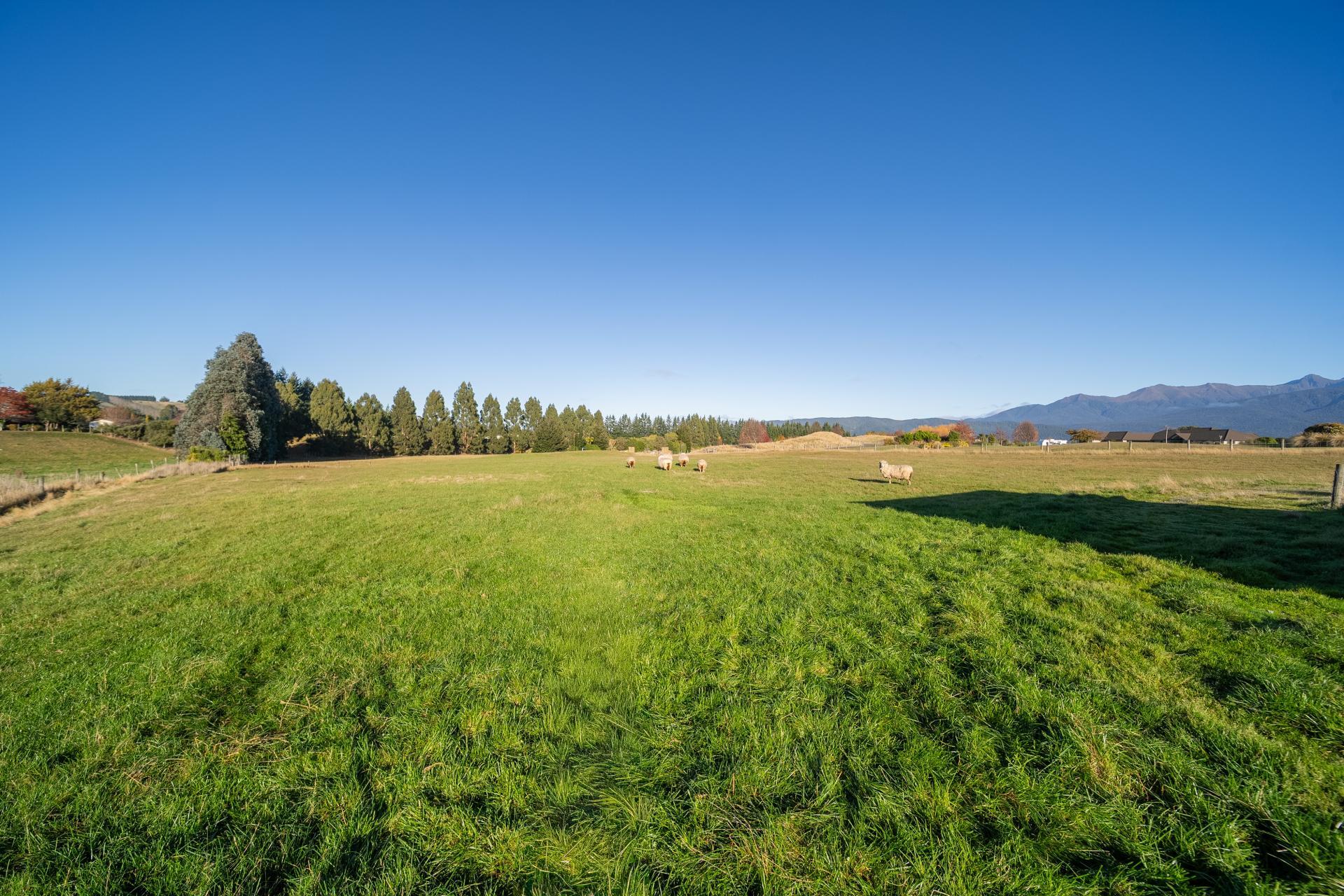 10 Black Lane, Te Anau