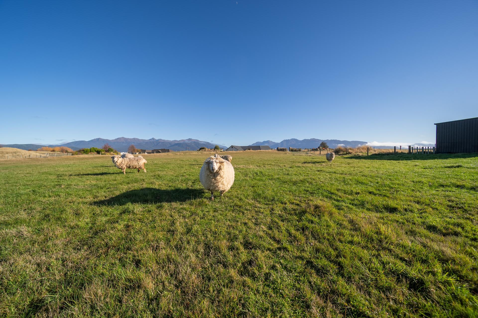 10 Black Lane, Te Anau