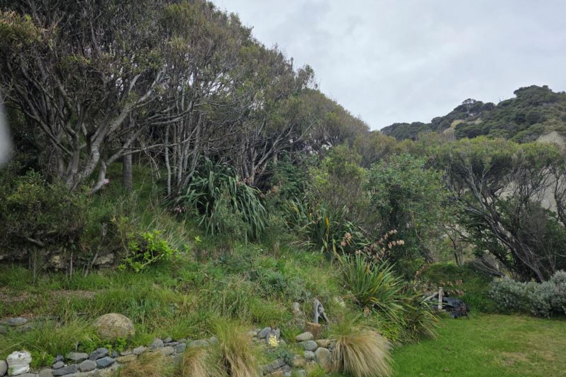 1475 Cape Palliser Road,  Te Kopi, Cape Palliser