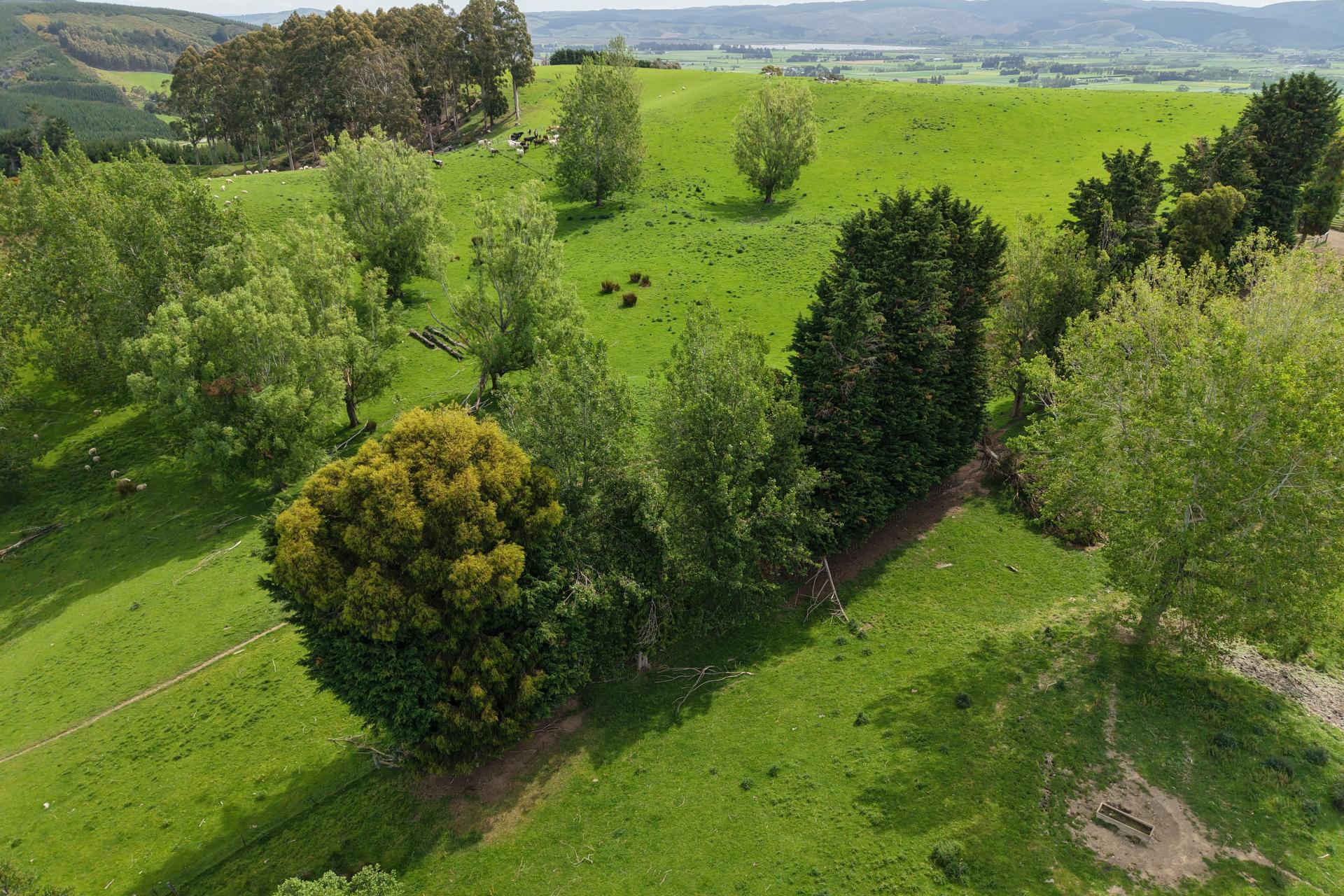 Otokia-Kuri Bush Road West, Henley