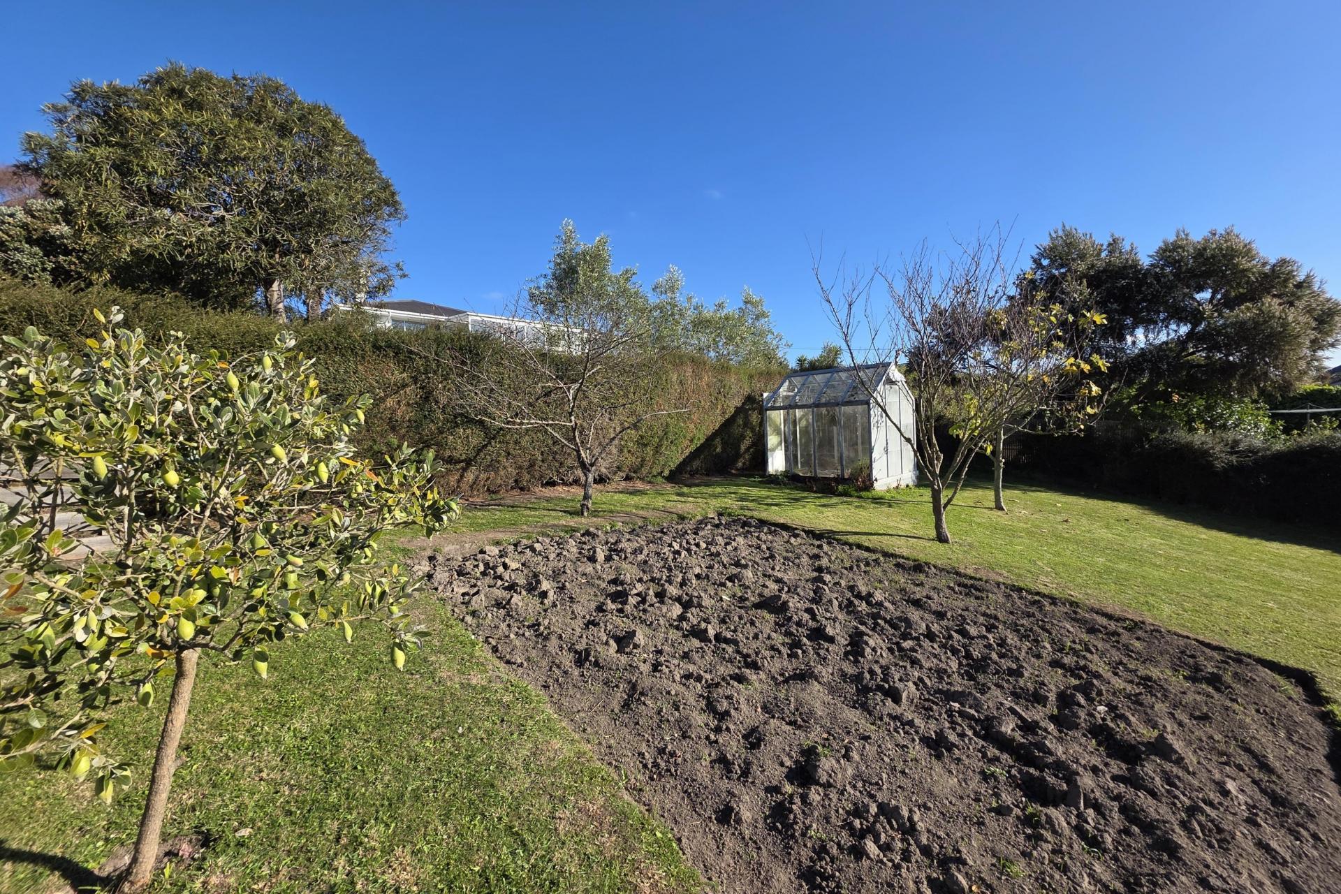 5 Tamar Street, South Hill