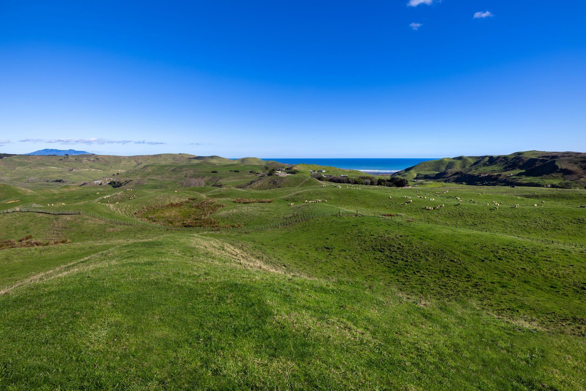 767 Te Akau Coast Road, Te Akau
