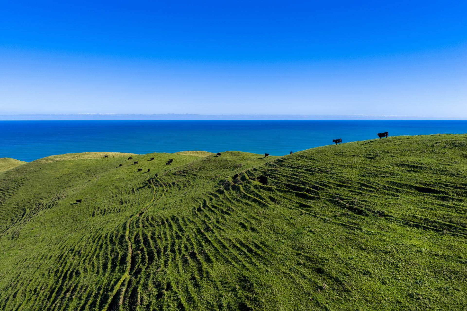 767 Te Akau Coast Road, Te Akau