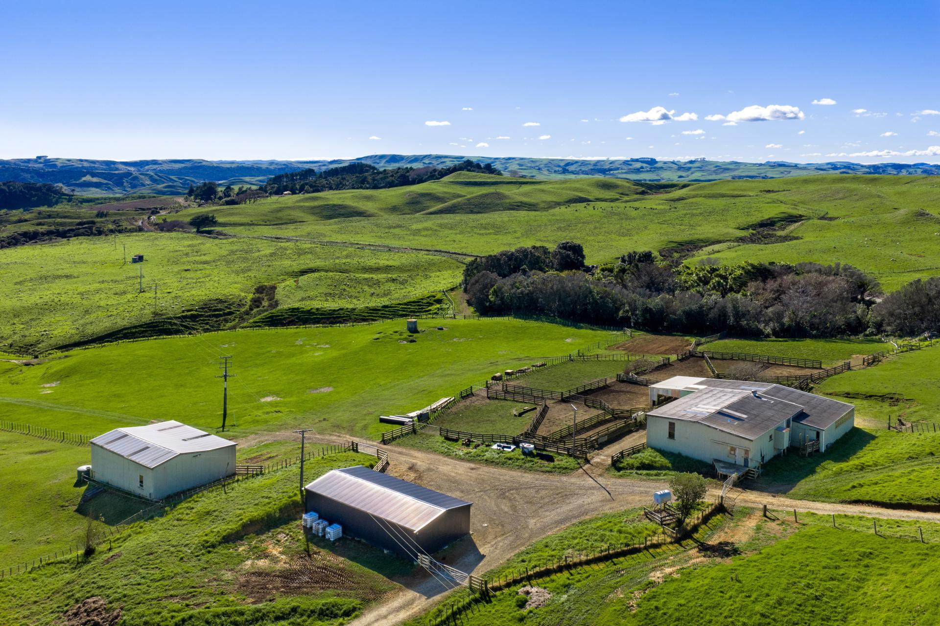 767 Te Akau Coast Road, Te Akau