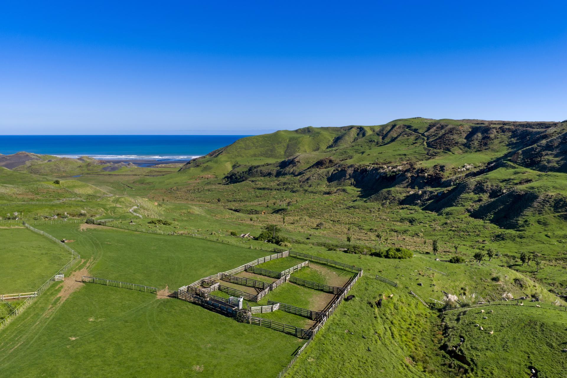 767 Te Akau Coast Road, Te Akau