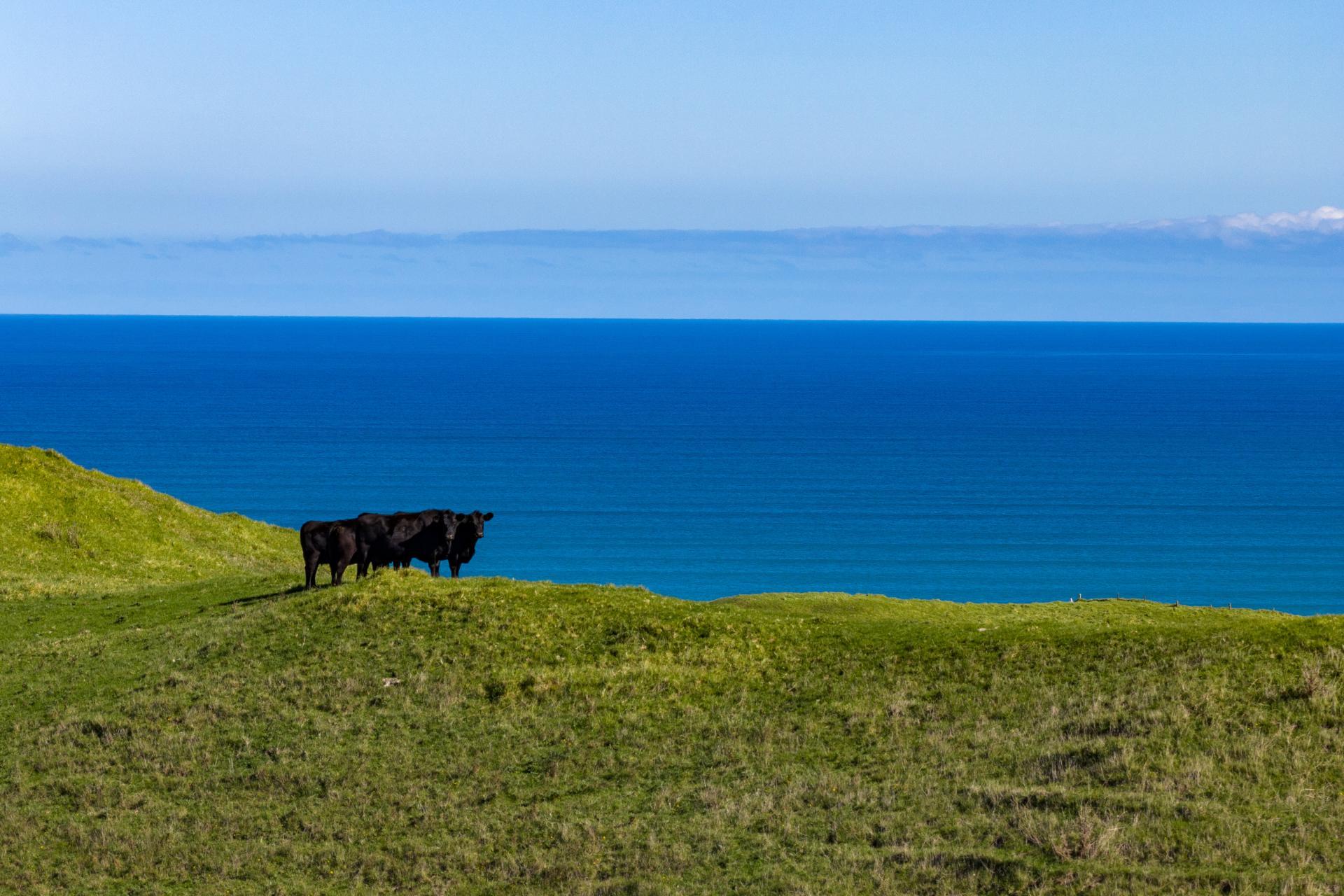 767 Te Akau Coast Road, Te Akau