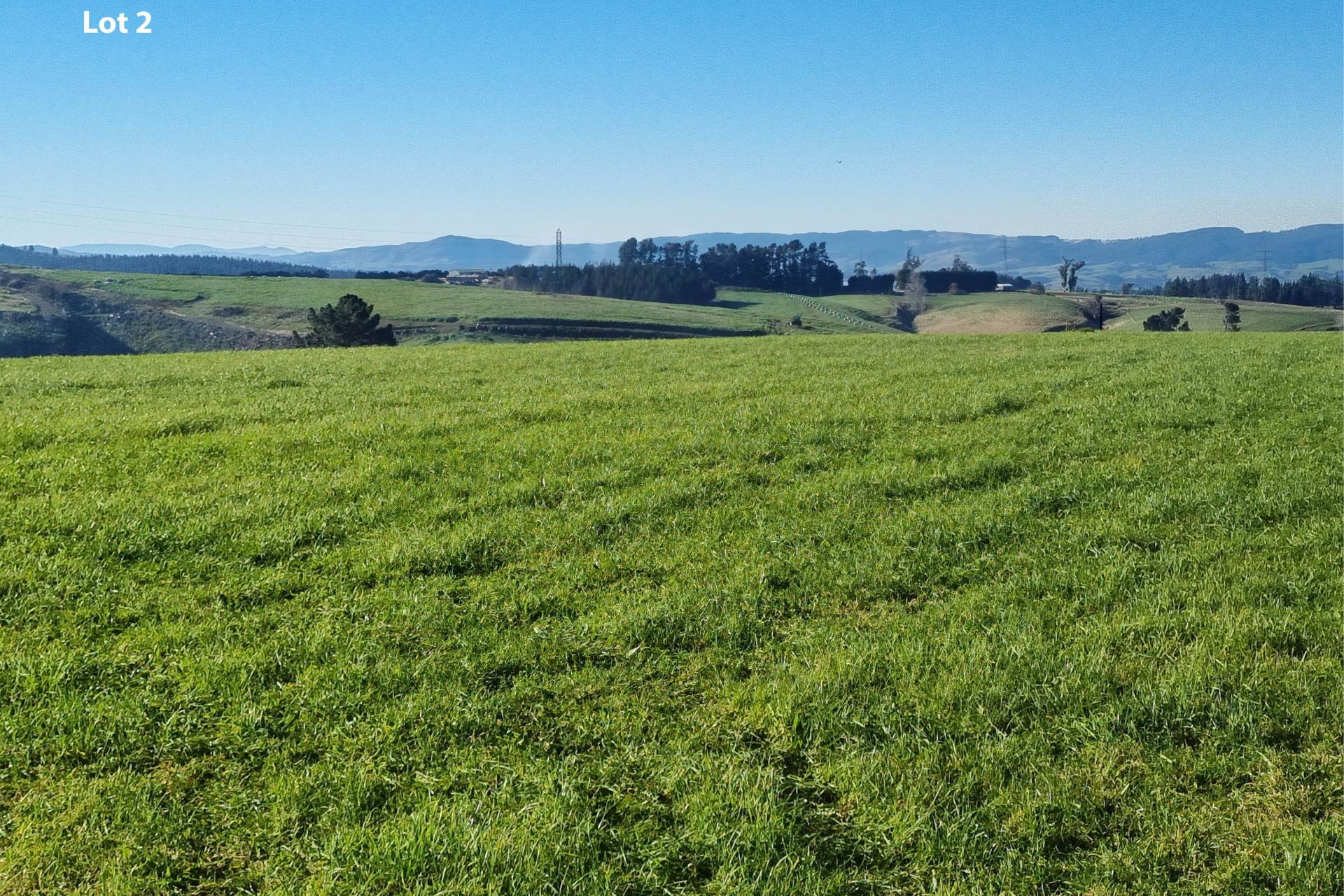 Cameron Road, Hillend, Balclutha