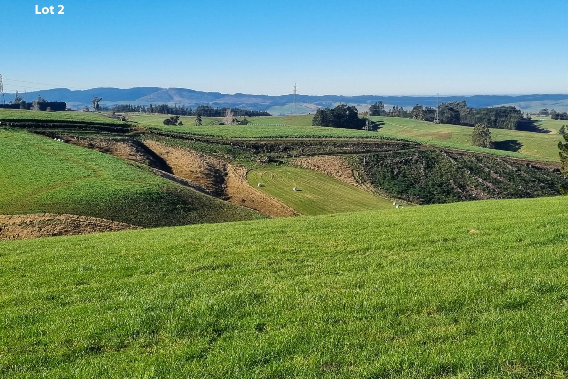 Cameron Road, Hillend, Balclutha