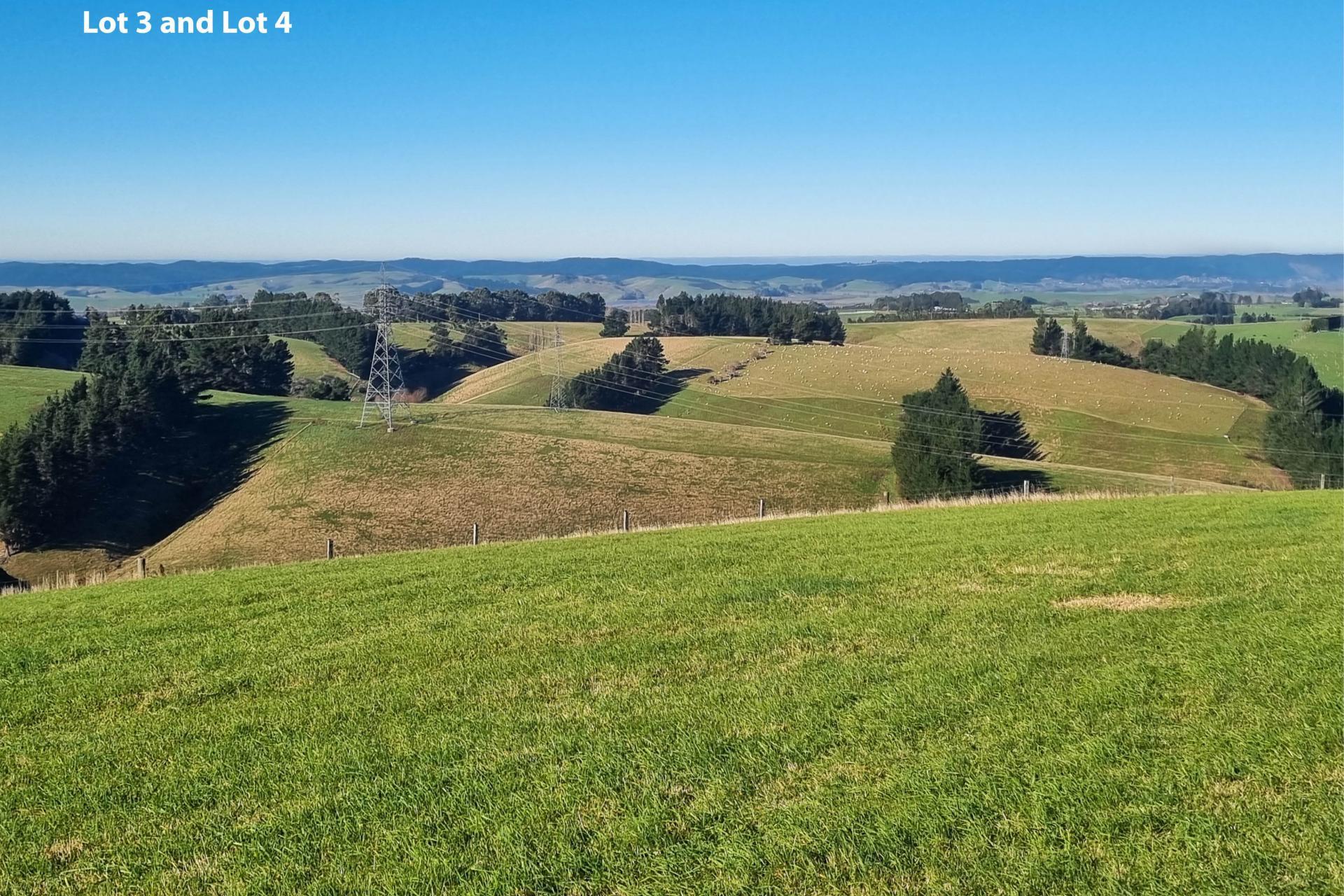 Cameron Road, Hillend, Balclutha