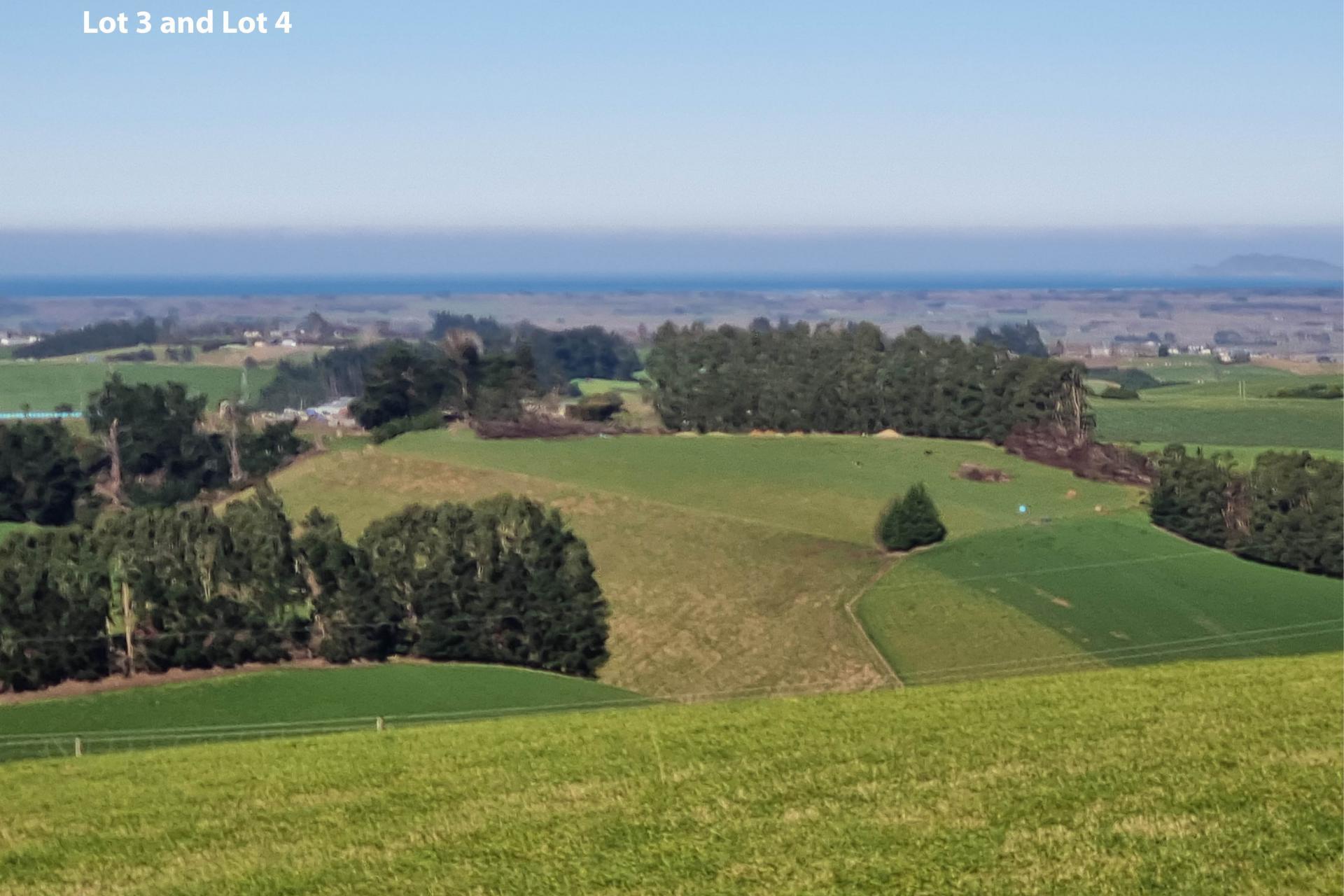 Cameron Road, Hillend, Balclutha