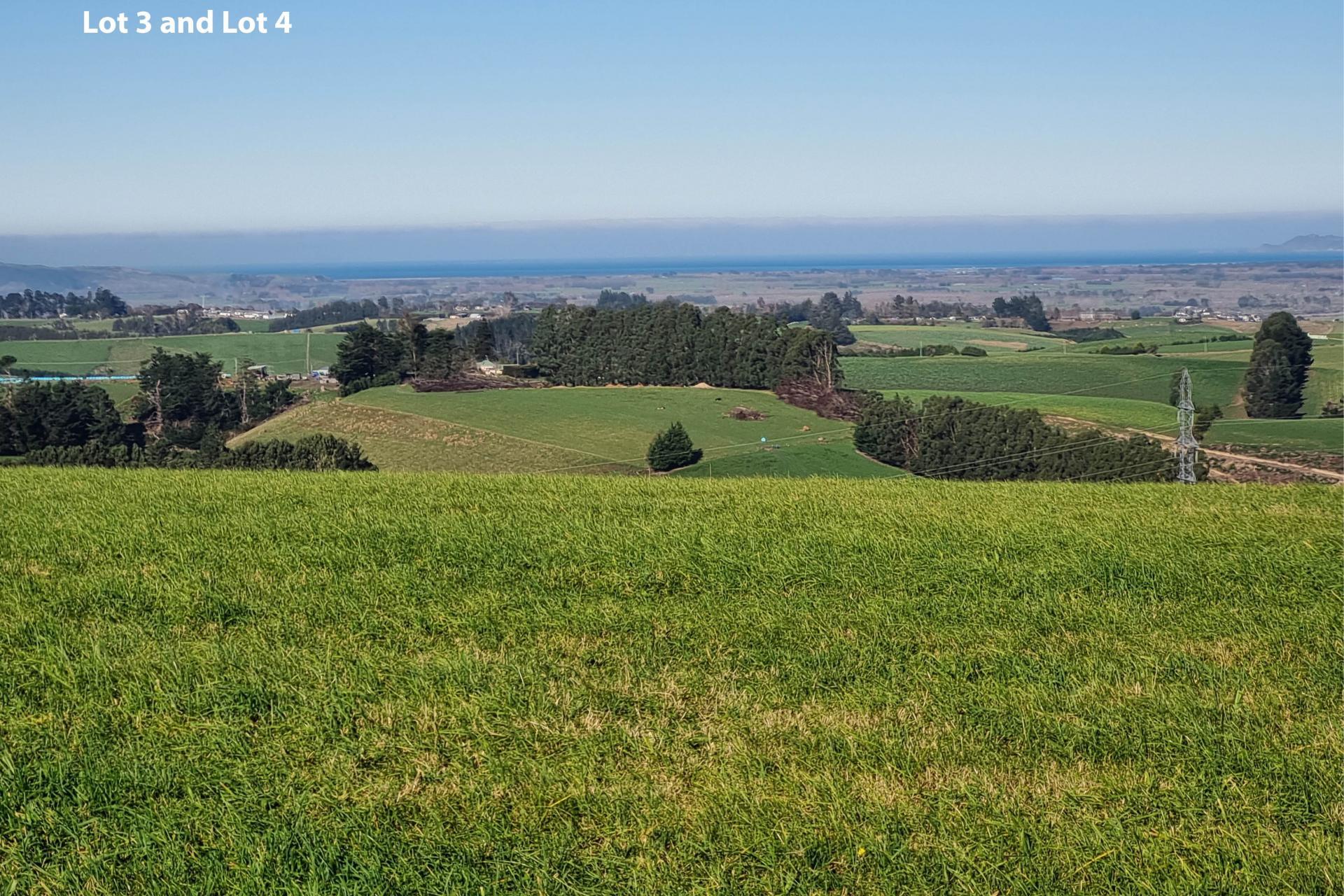 Cameron Road, Hillend, Balclutha