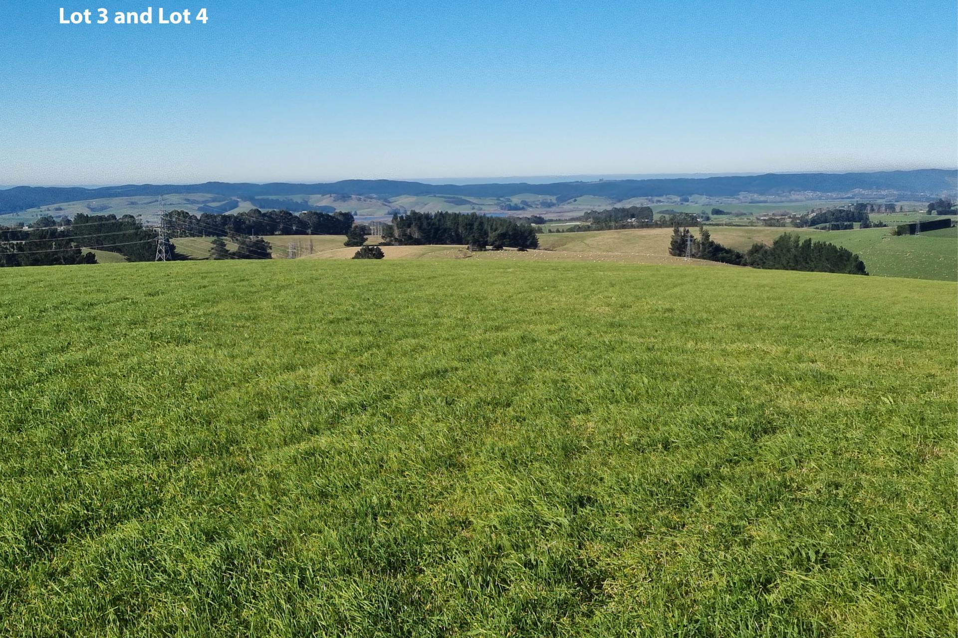 Cameron Road, Hillend, Balclutha