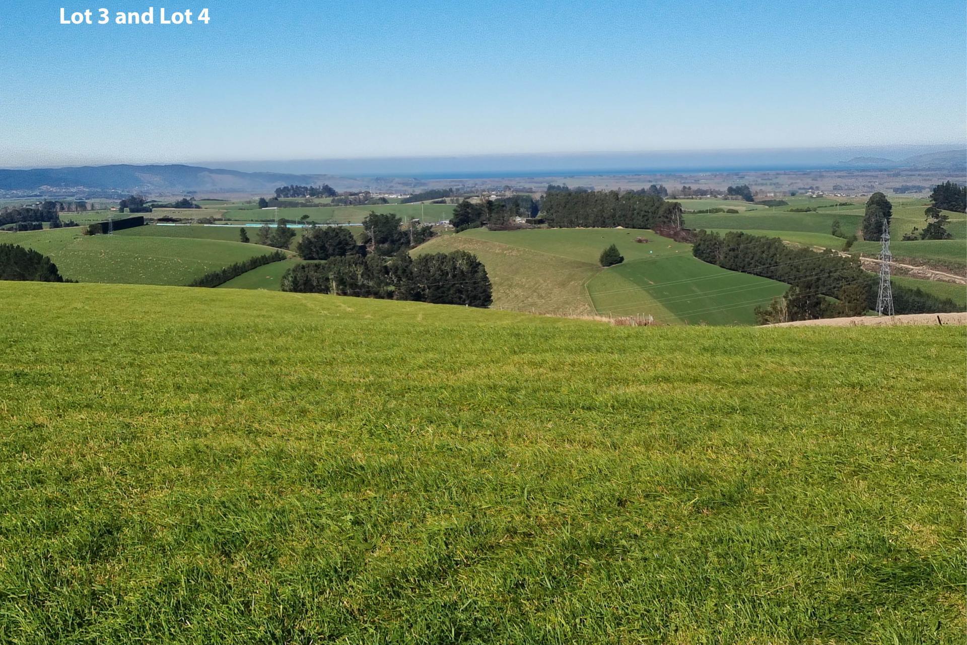 Cameron Road, Hillend, Balclutha