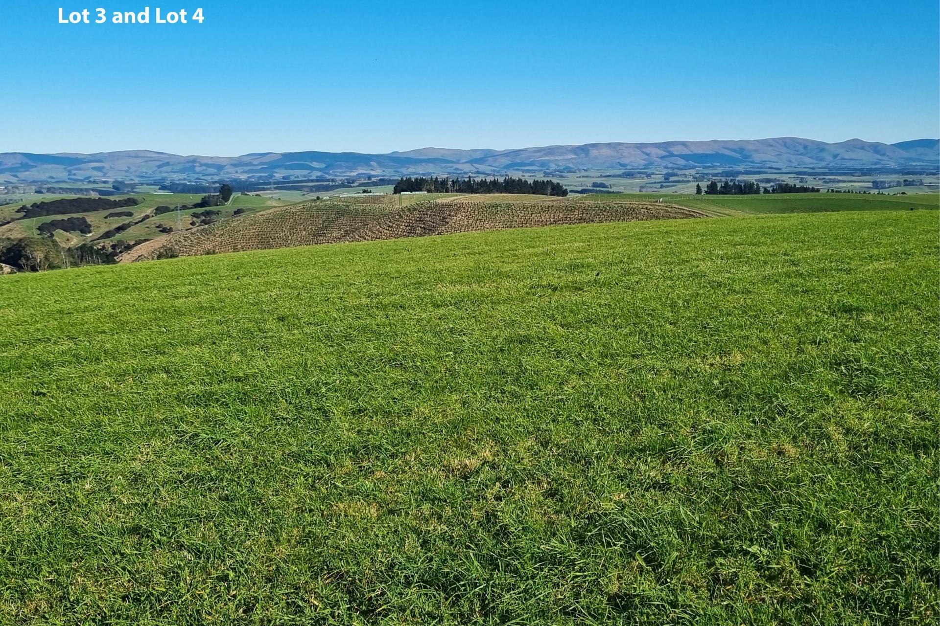 Cameron Road, Hillend, Balclutha