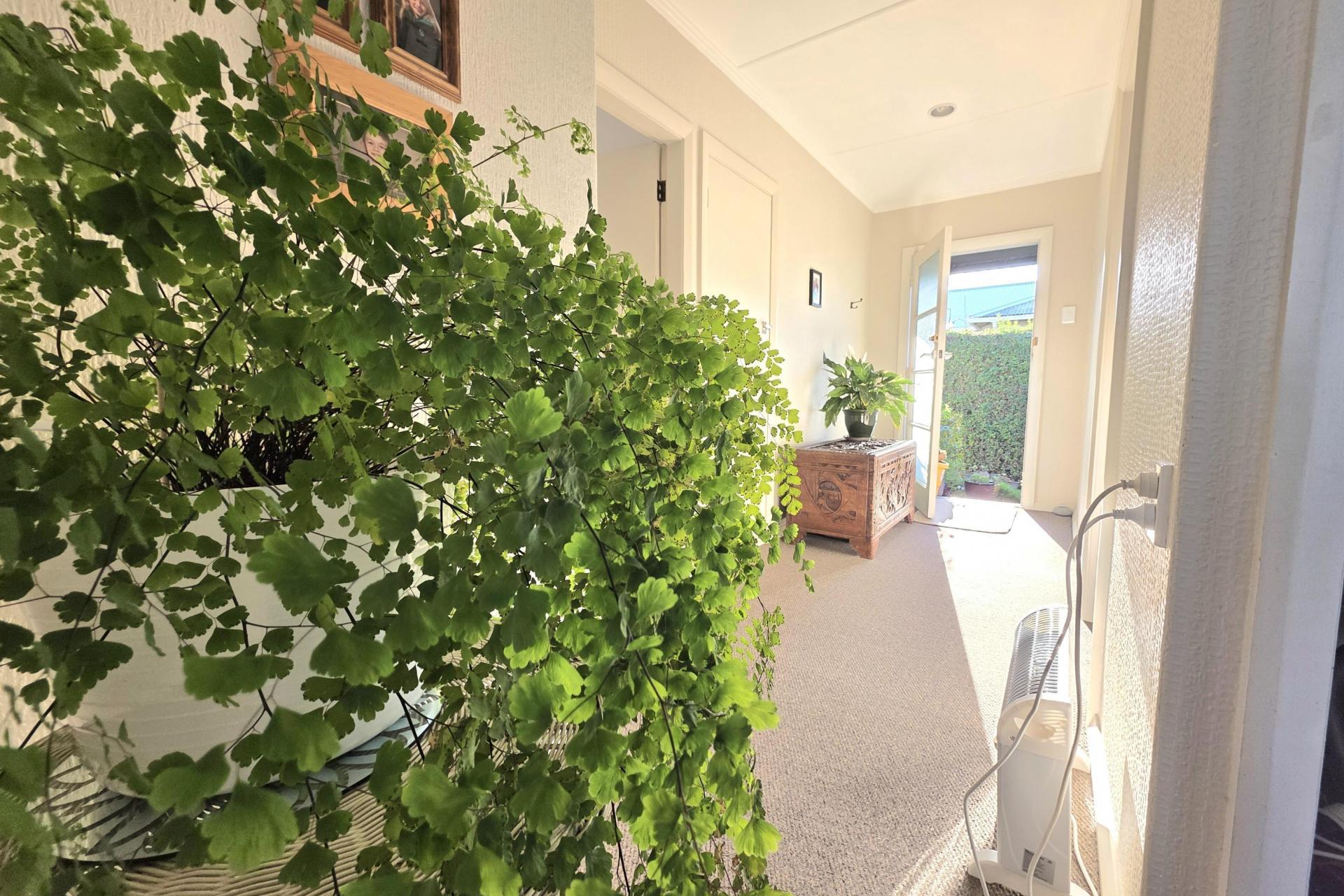 8 Kelvin Street, South Hill