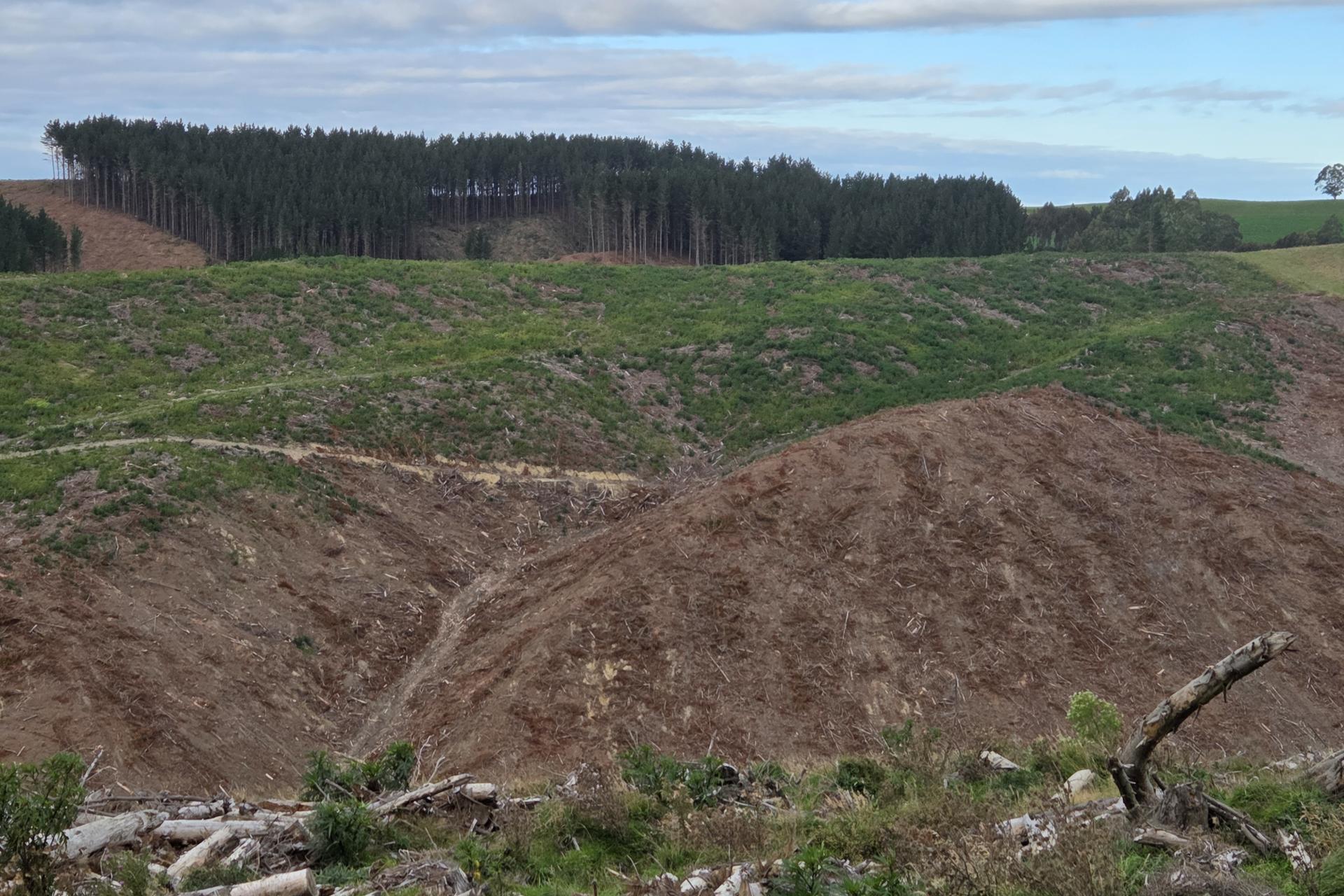 Broad Gully Road, Ikawai