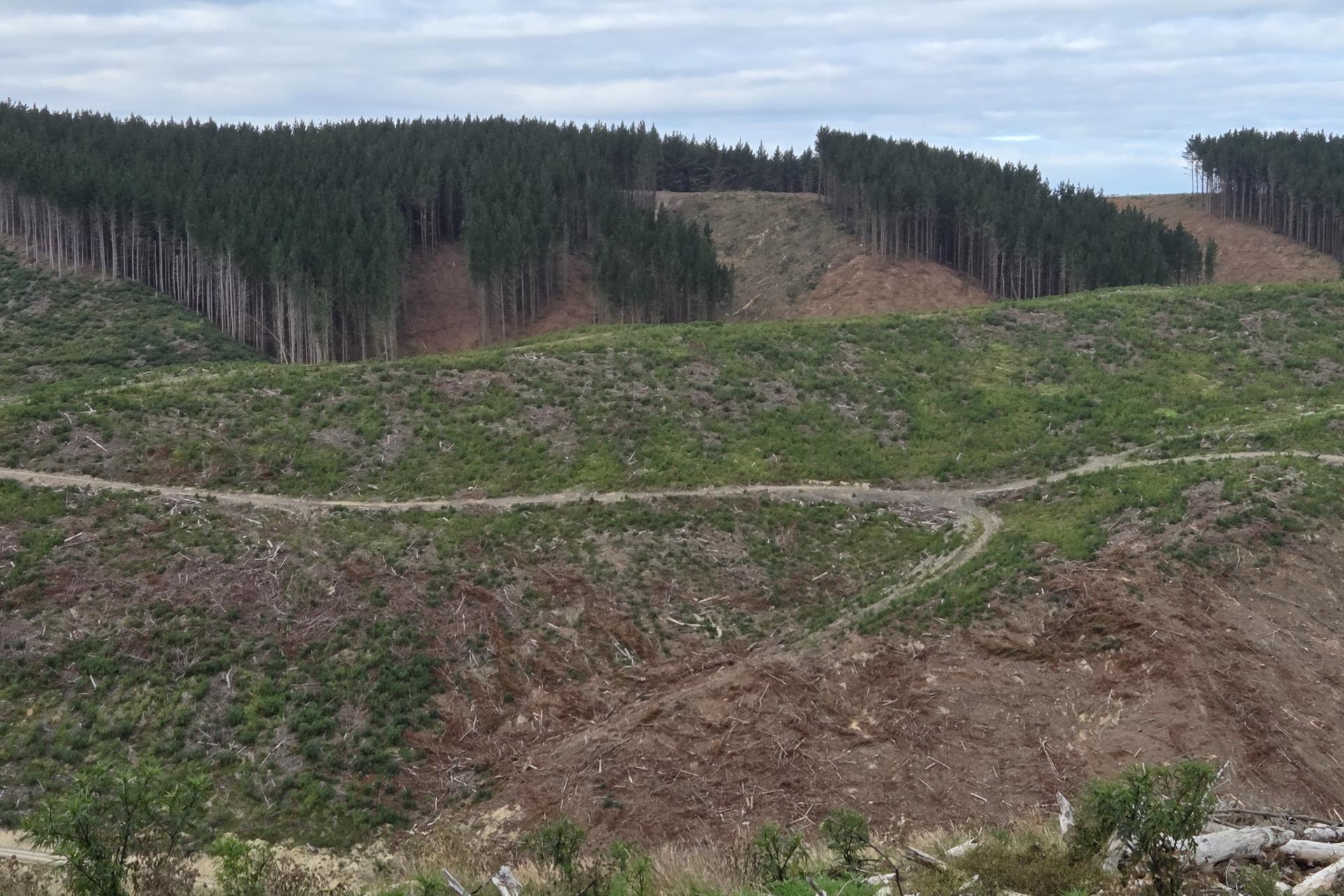 Broad Gully Road, Ikawai