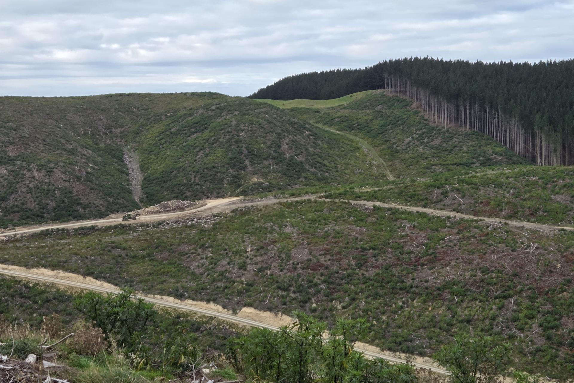 Broad Gully Road, Ikawai