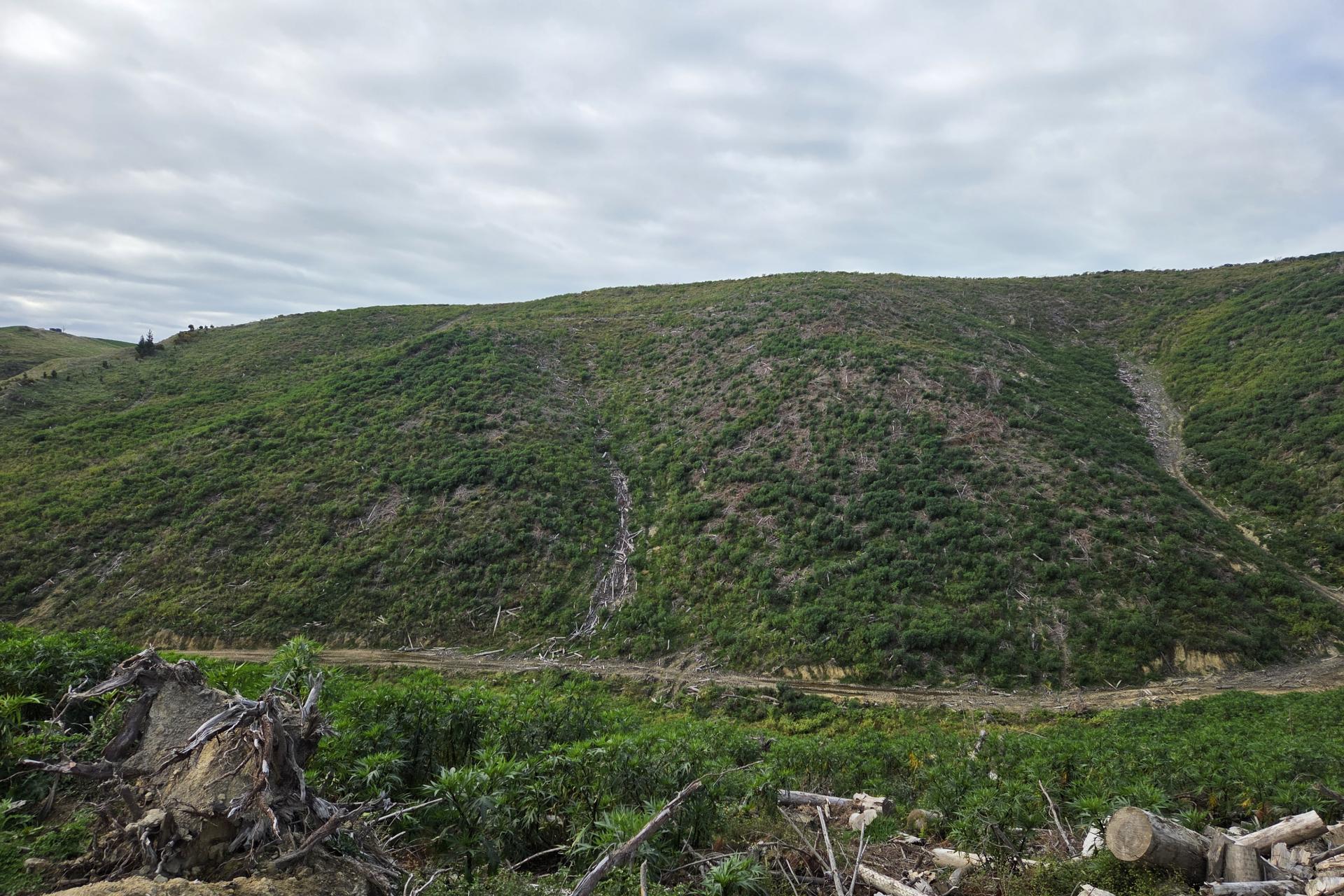Broad Gully Road, Ikawai