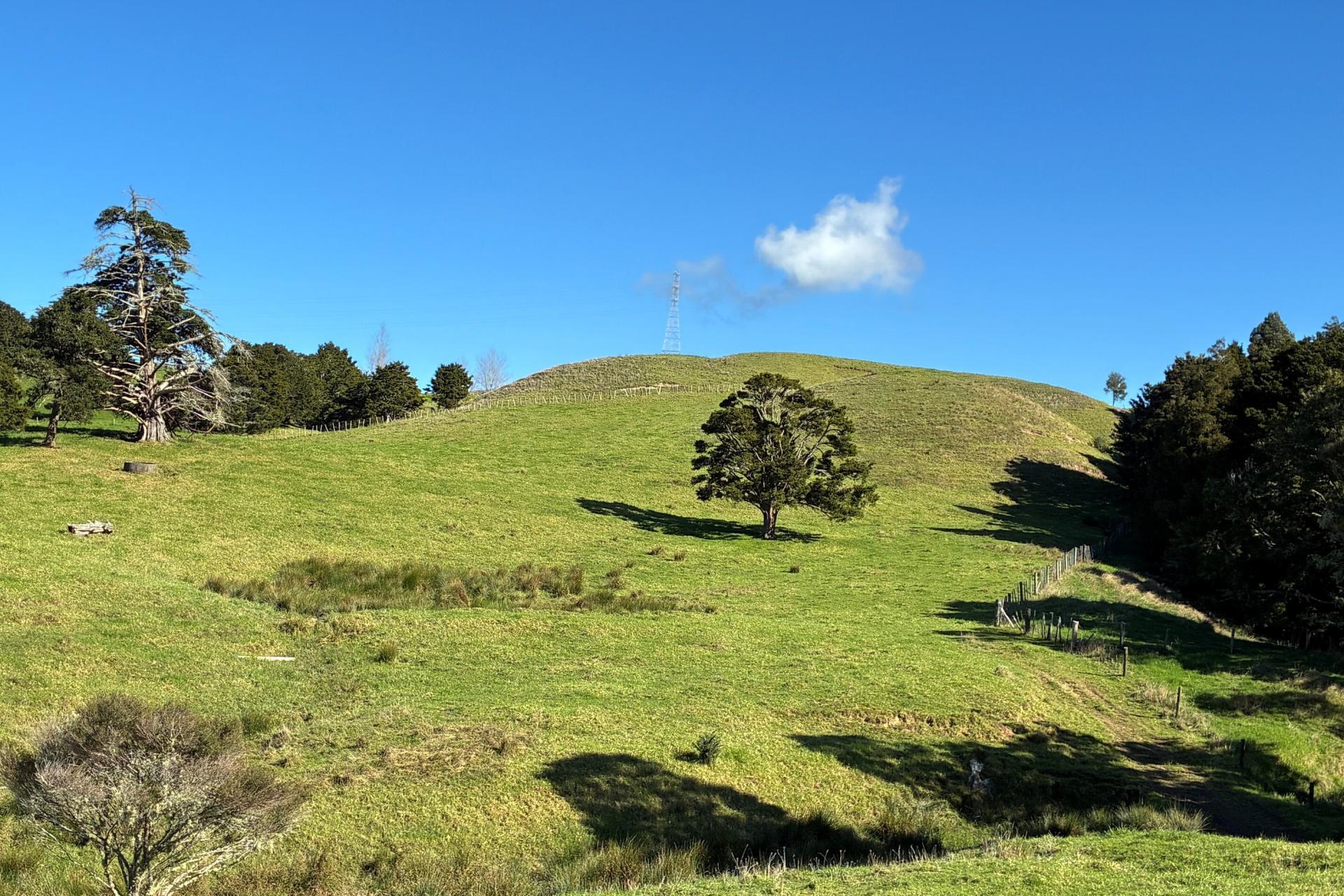 Paparoa Road, Mangapai