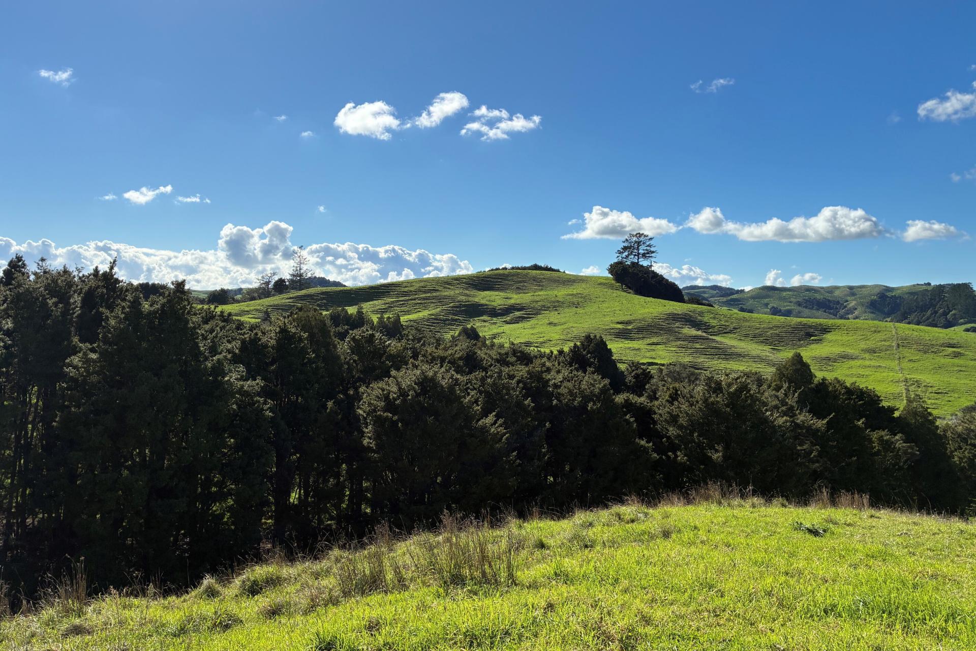 Paparoa Road, Mangapai