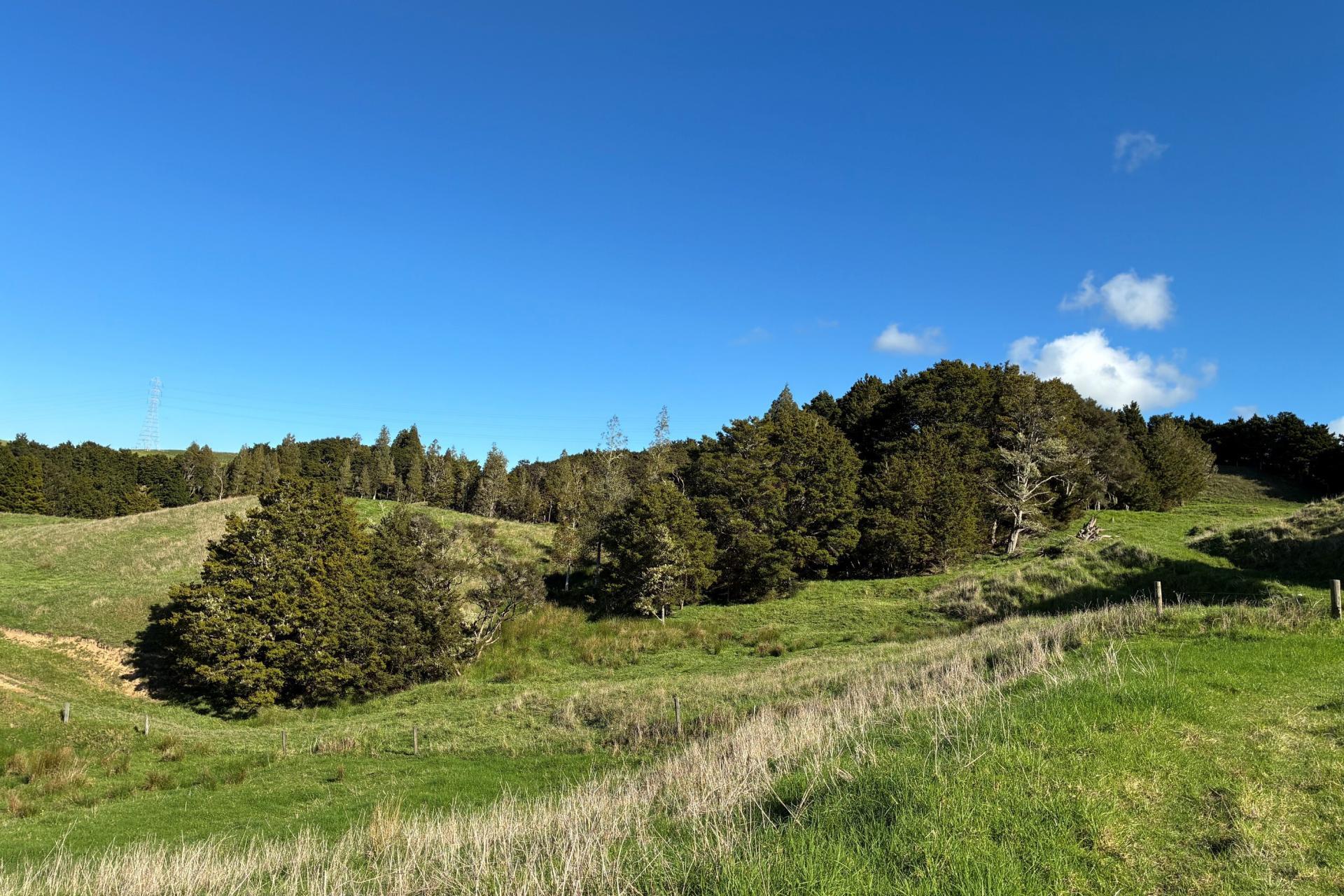 Paparoa Road, Mangapai