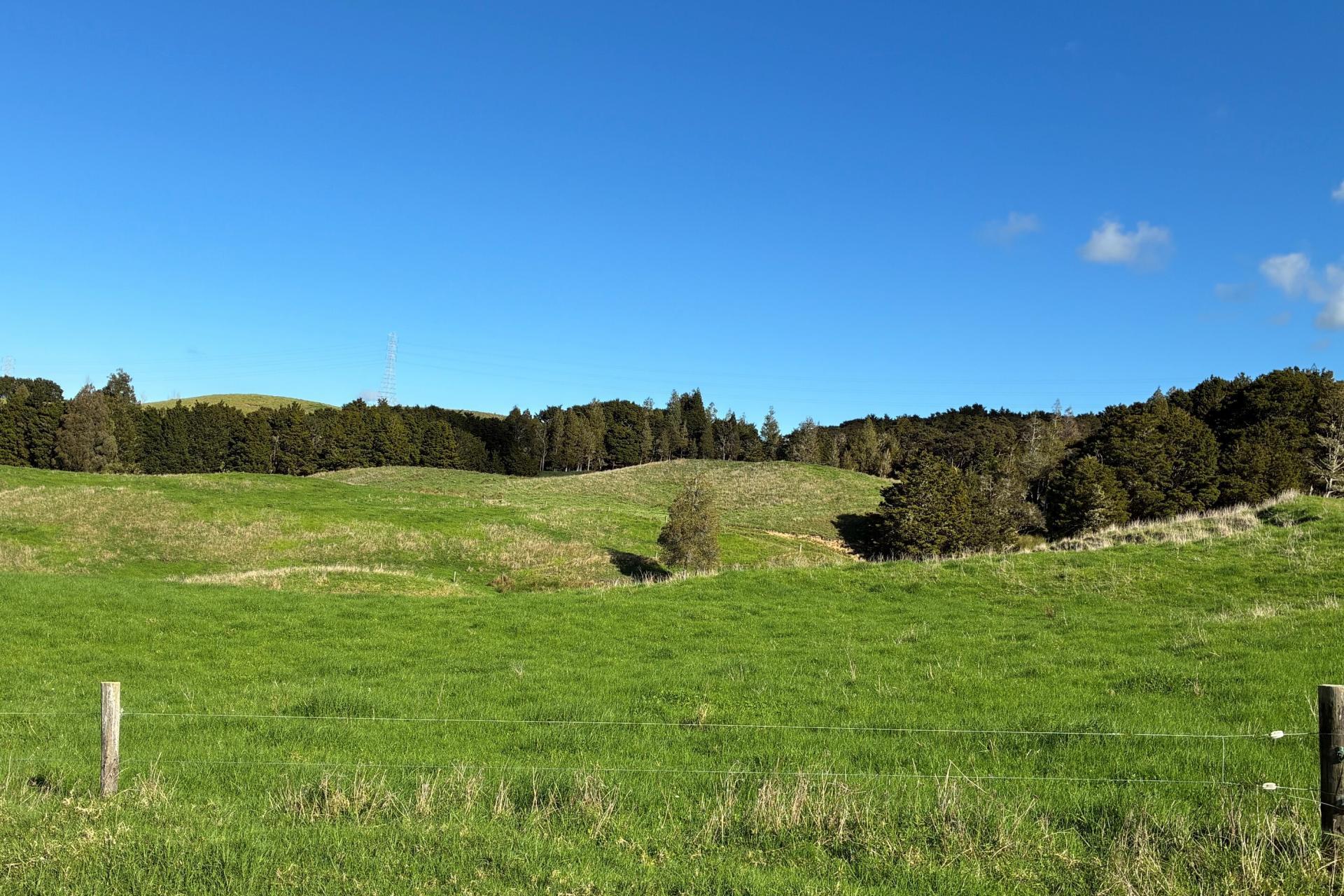 Paparoa Road, Mangapai