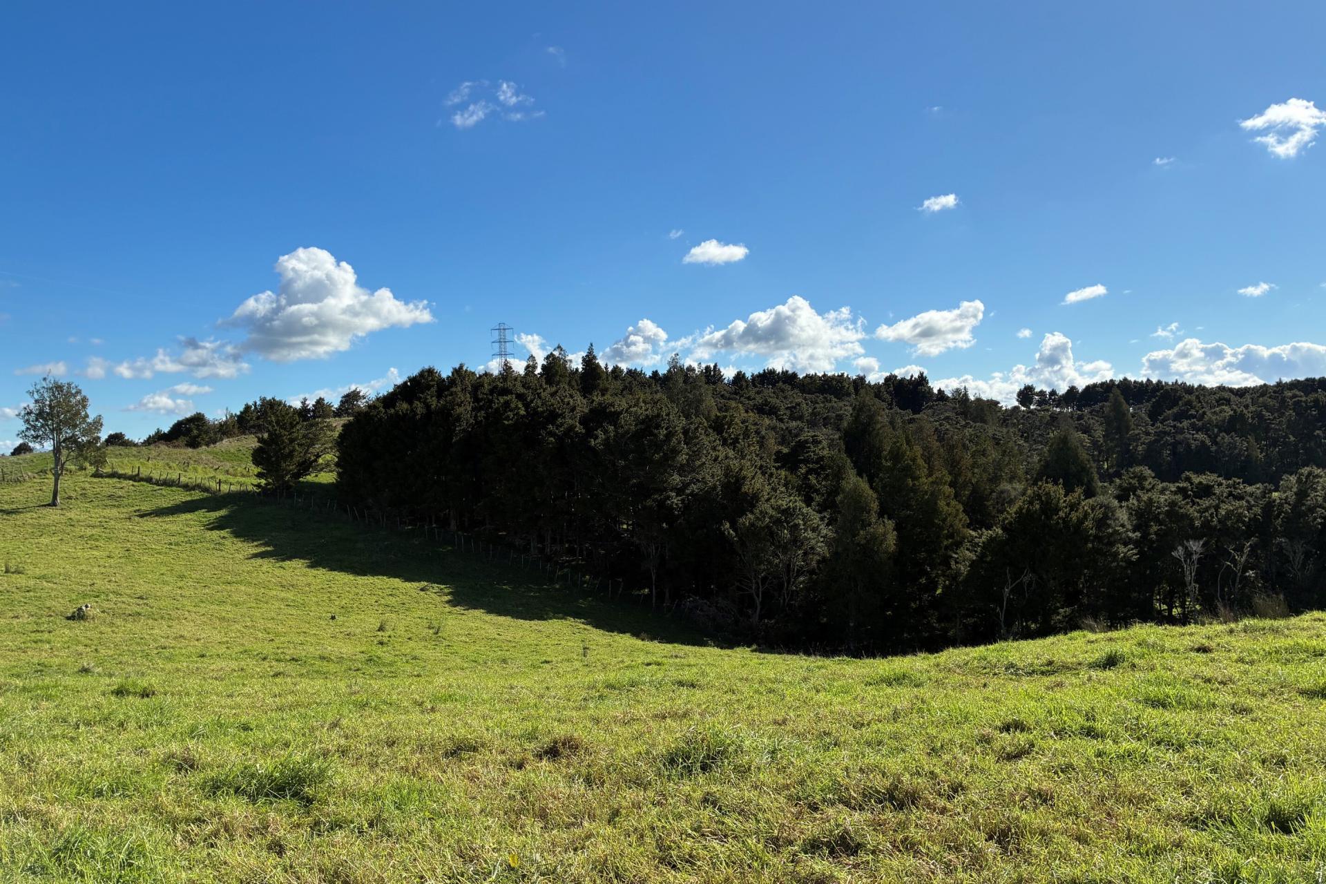 Paparoa Road, Mangapai