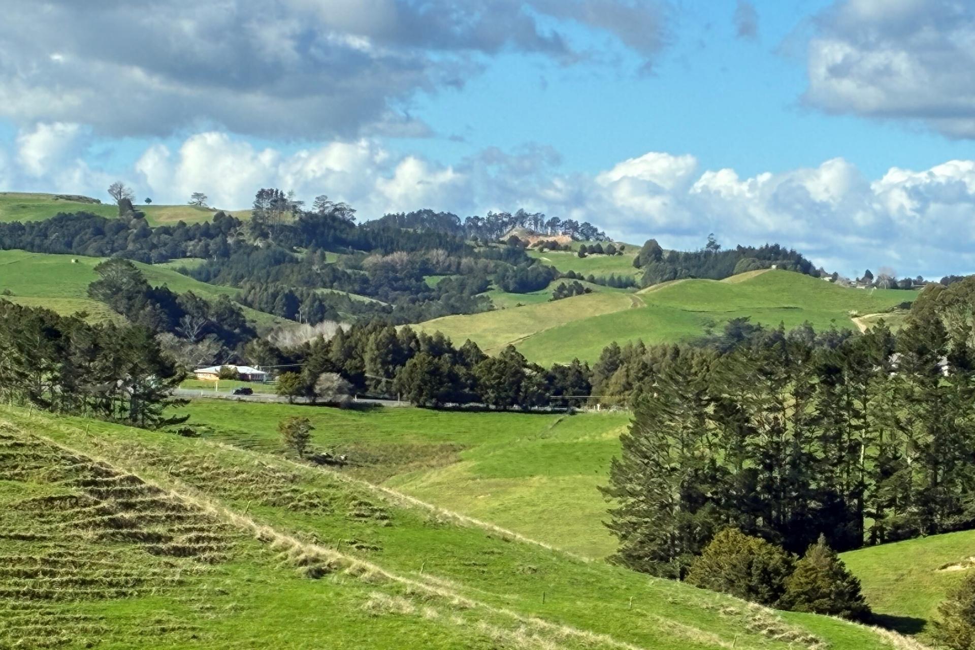 Paparoa Road, Mangapai