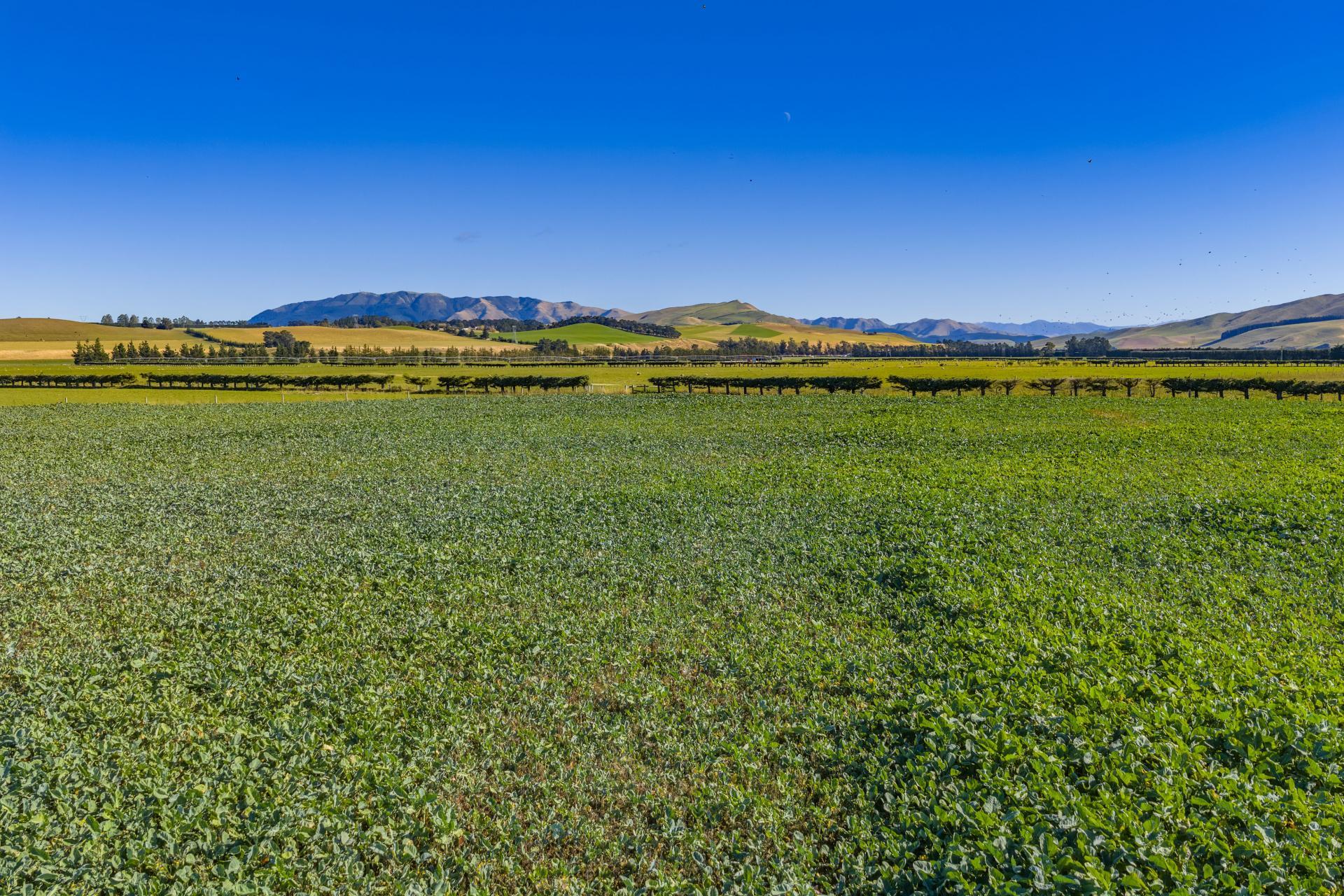 537 Mount Brown Road, Broomfield