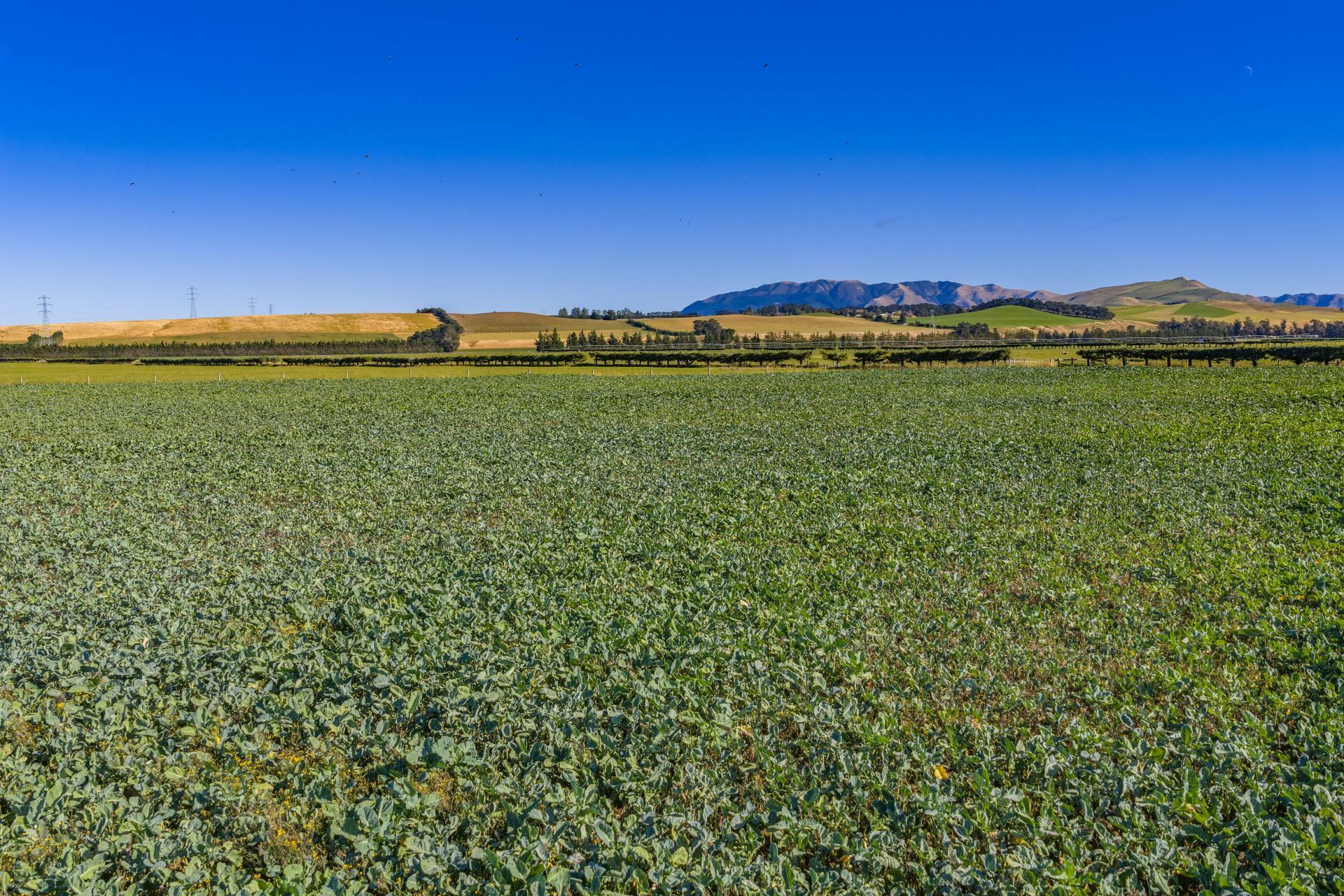 537 Mount Brown Road, Broomfield