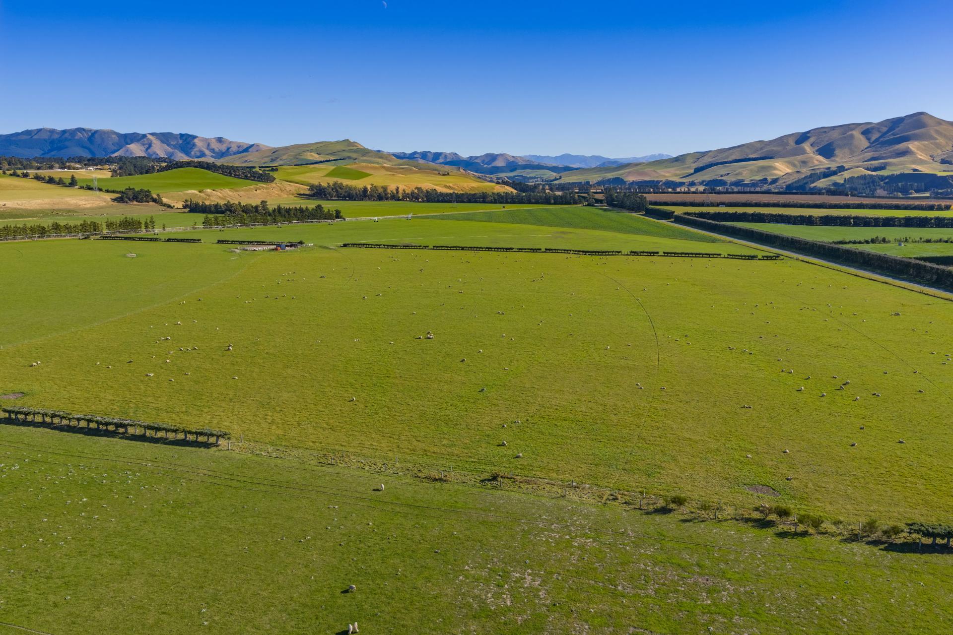 537 Mount Brown Road, Broomfield