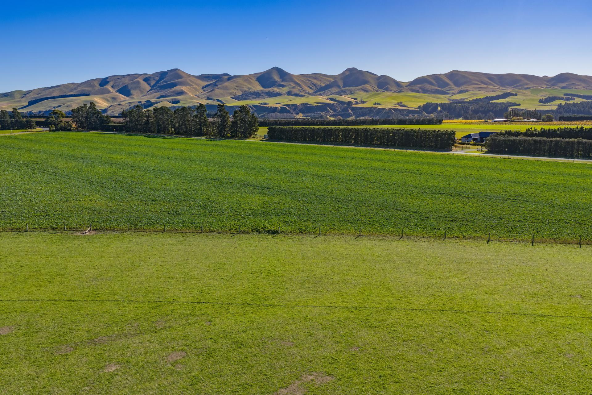 537 Mount Brown Road, Broomfield