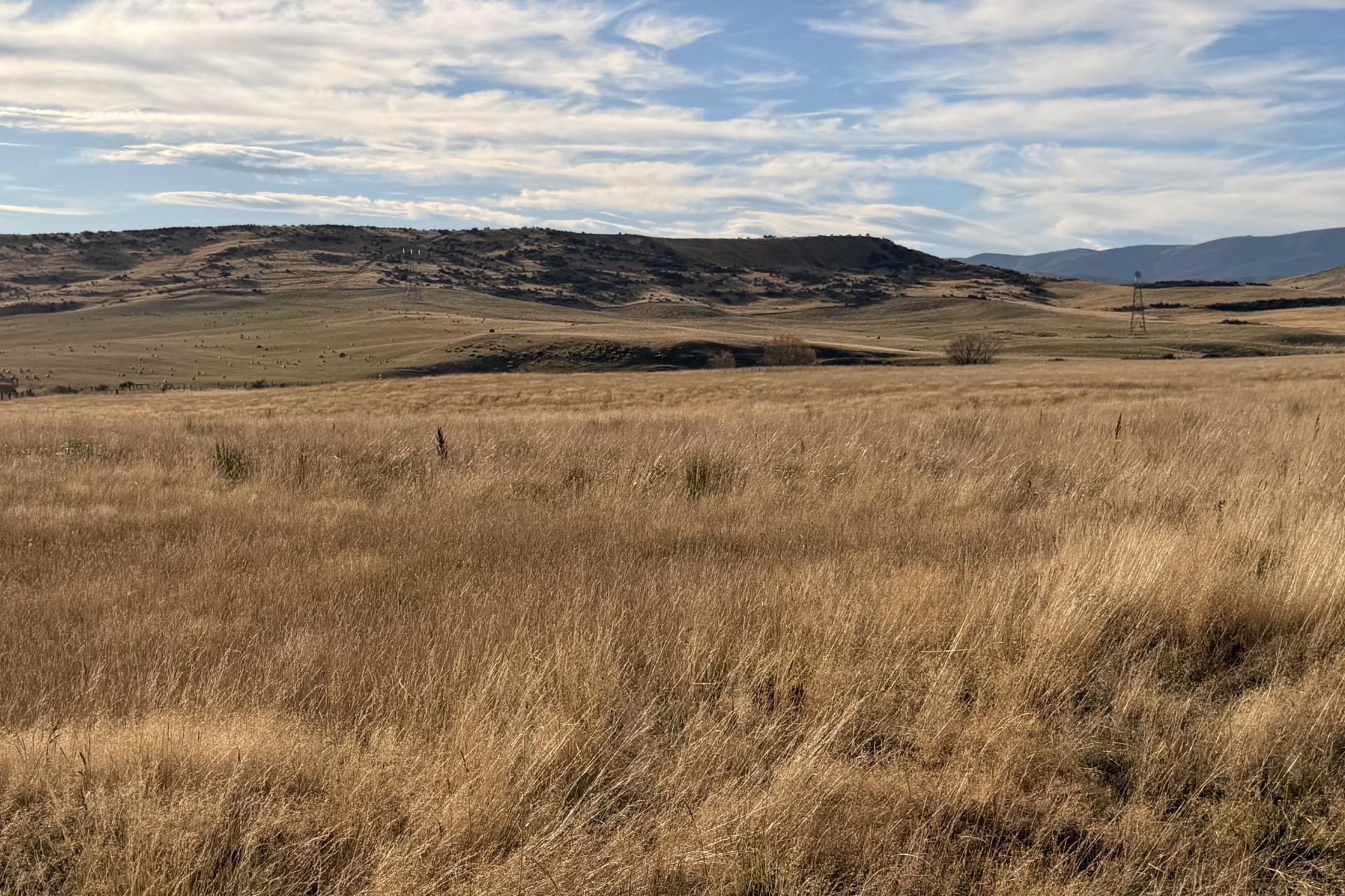 Wedderburn-Becks Road, Wedderburn