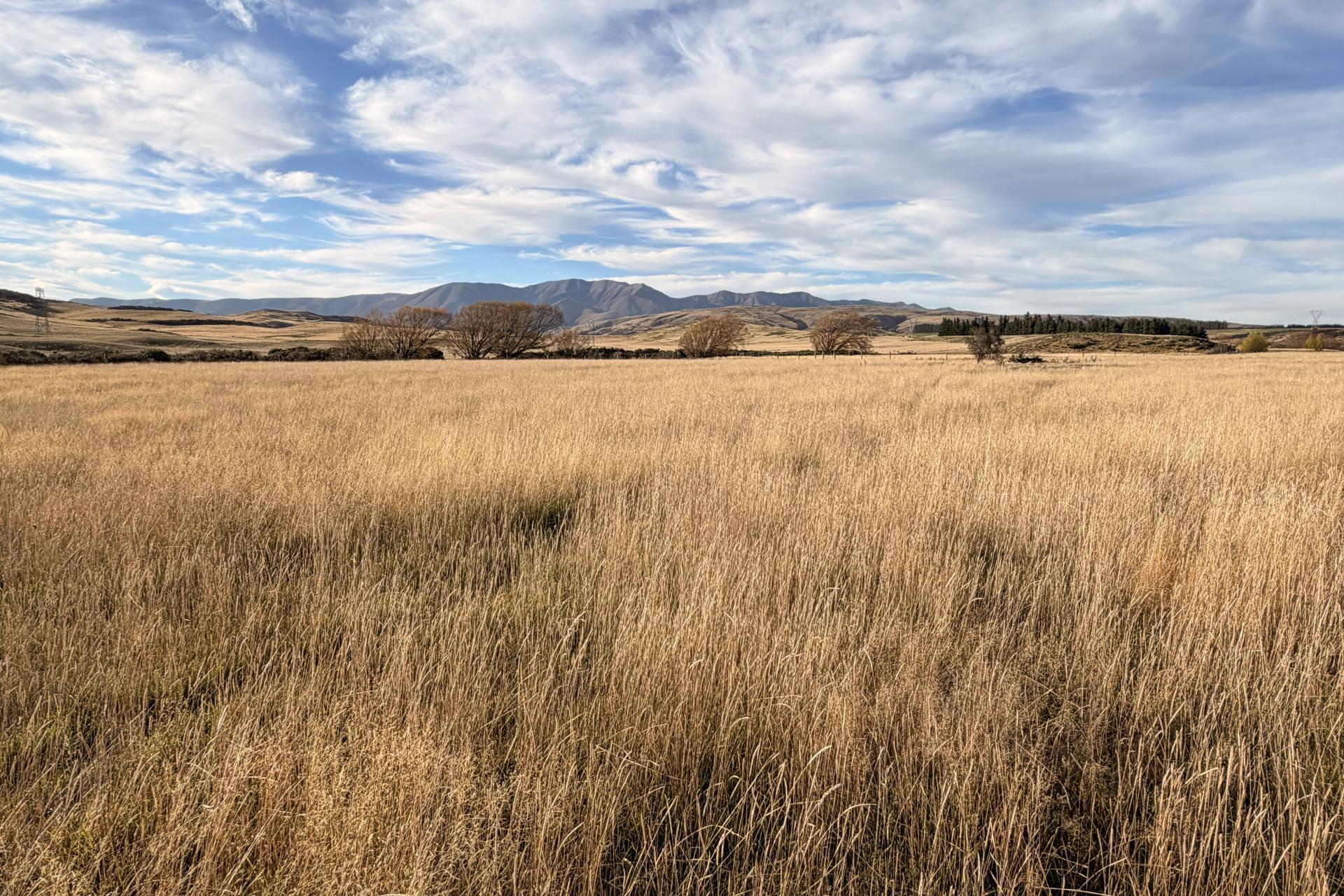 Wedderburn-Becks Road, Wedderburn