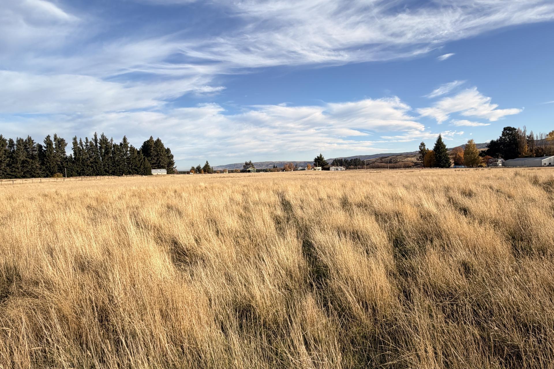 Wedderburn-Becks Road, Wedderburn