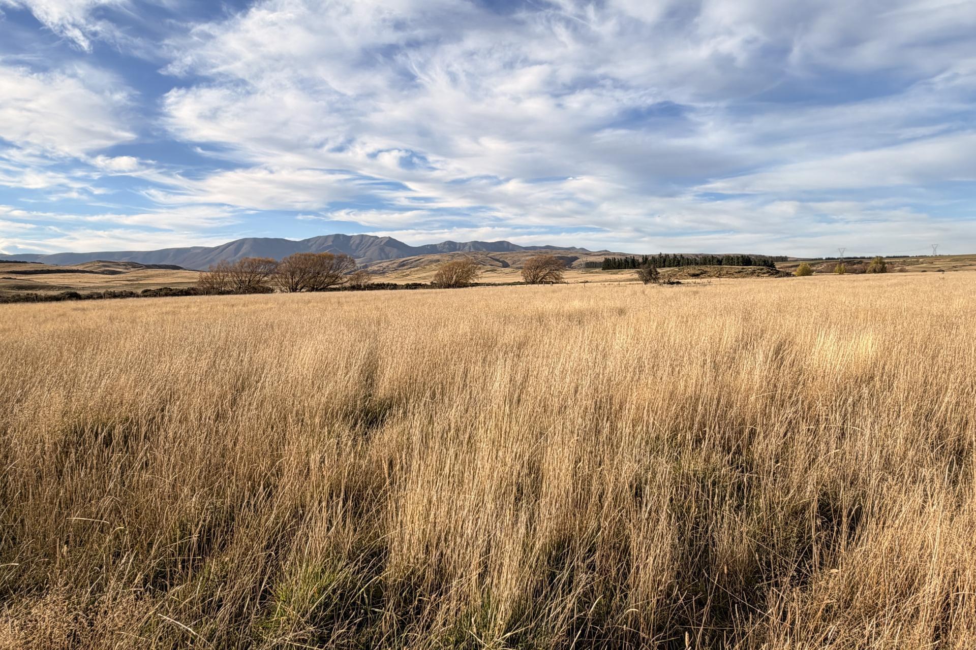 Wedderburn-Becks Road, Wedderburn