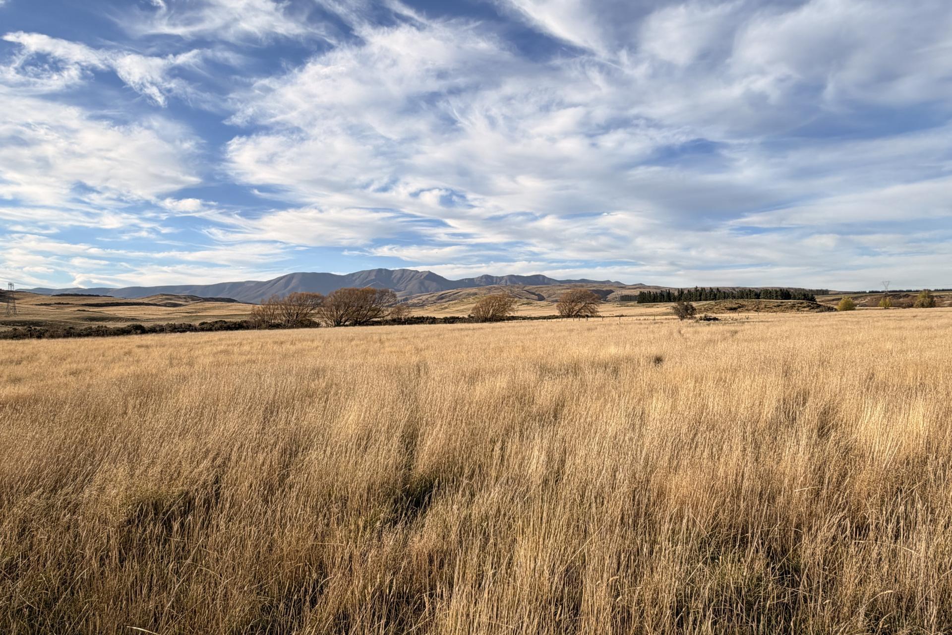 Wedderburn-Becks Road, Wedderburn