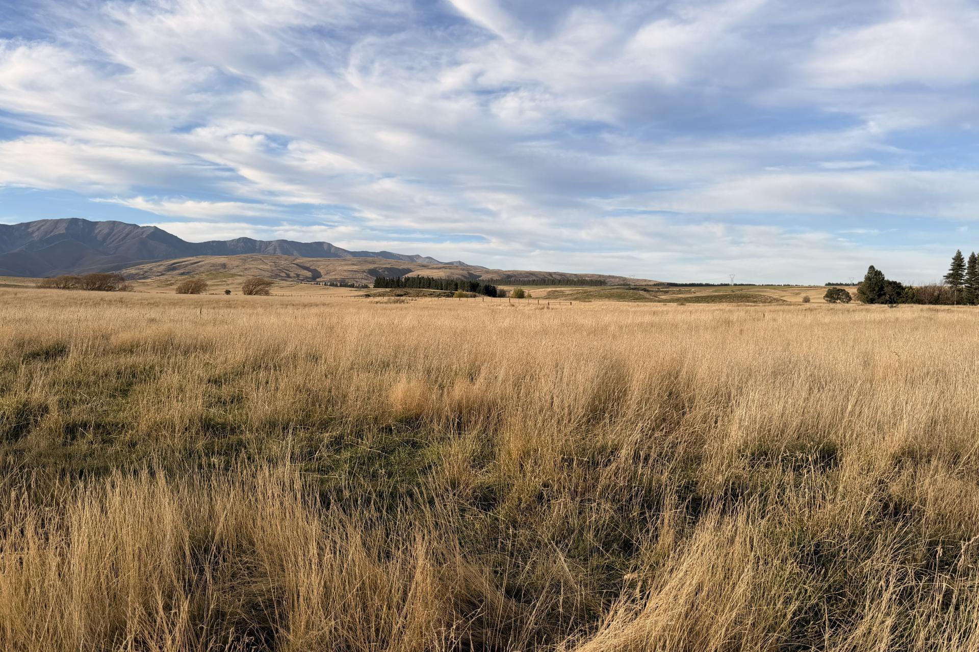 Wedderburn-Becks Road, Wedderburn