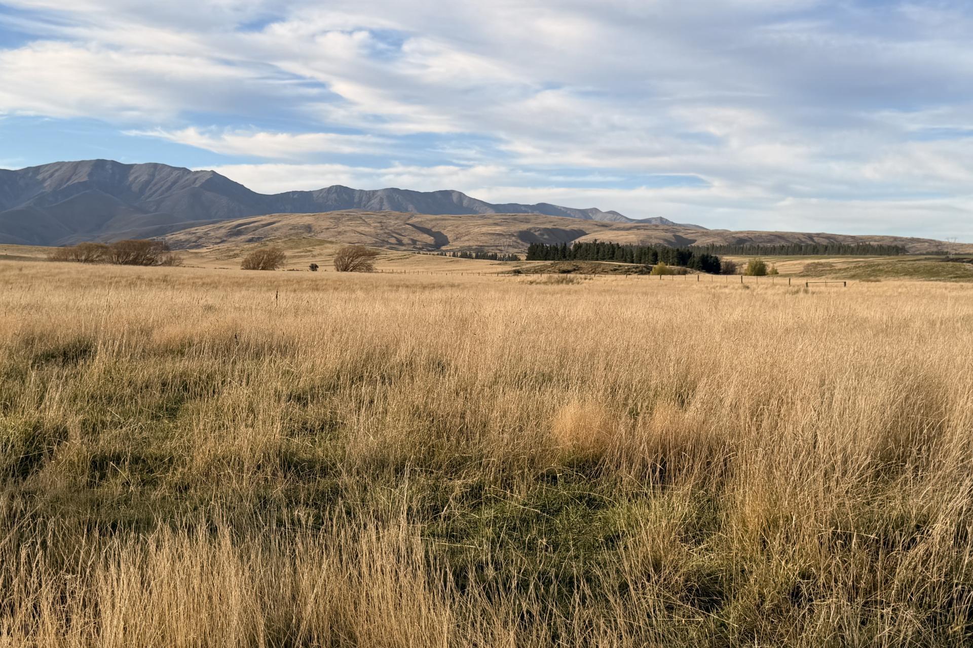 Wedderburn-Becks Road, Wedderburn
