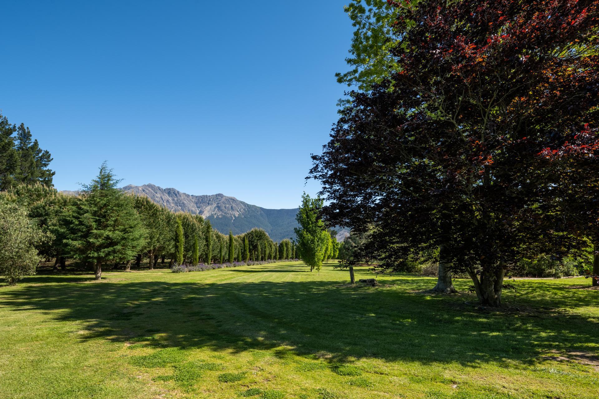 Wairau Valley