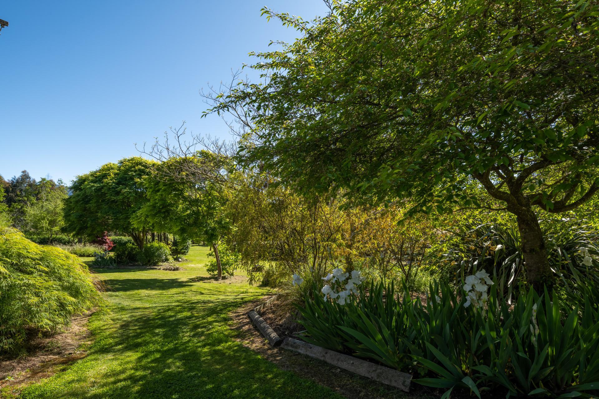 Wairau Valley