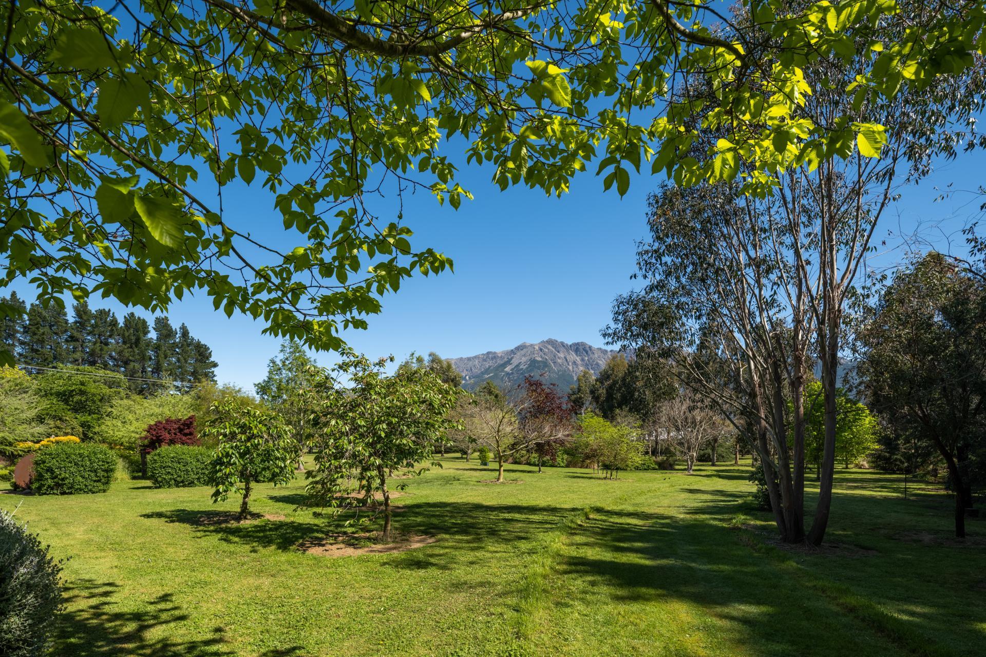 Wairau Valley
